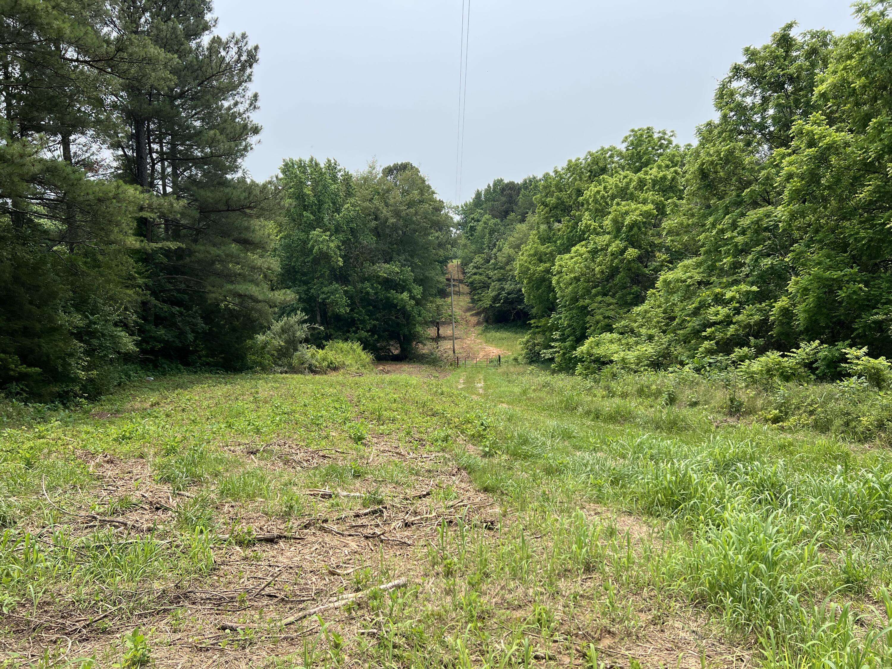 Etowah, TN 37331,238 County Road 792