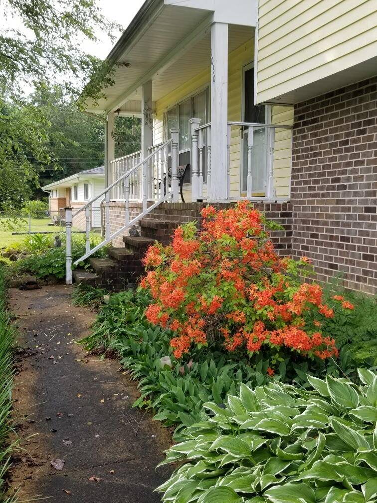 Hixson, TN 37343,1030 Ambrose LN