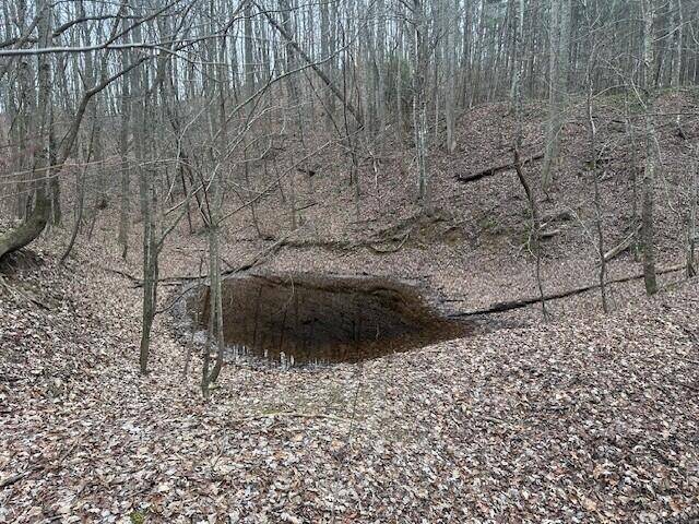 Tracy City, TN 37387,120.62 Browns Hollow Road