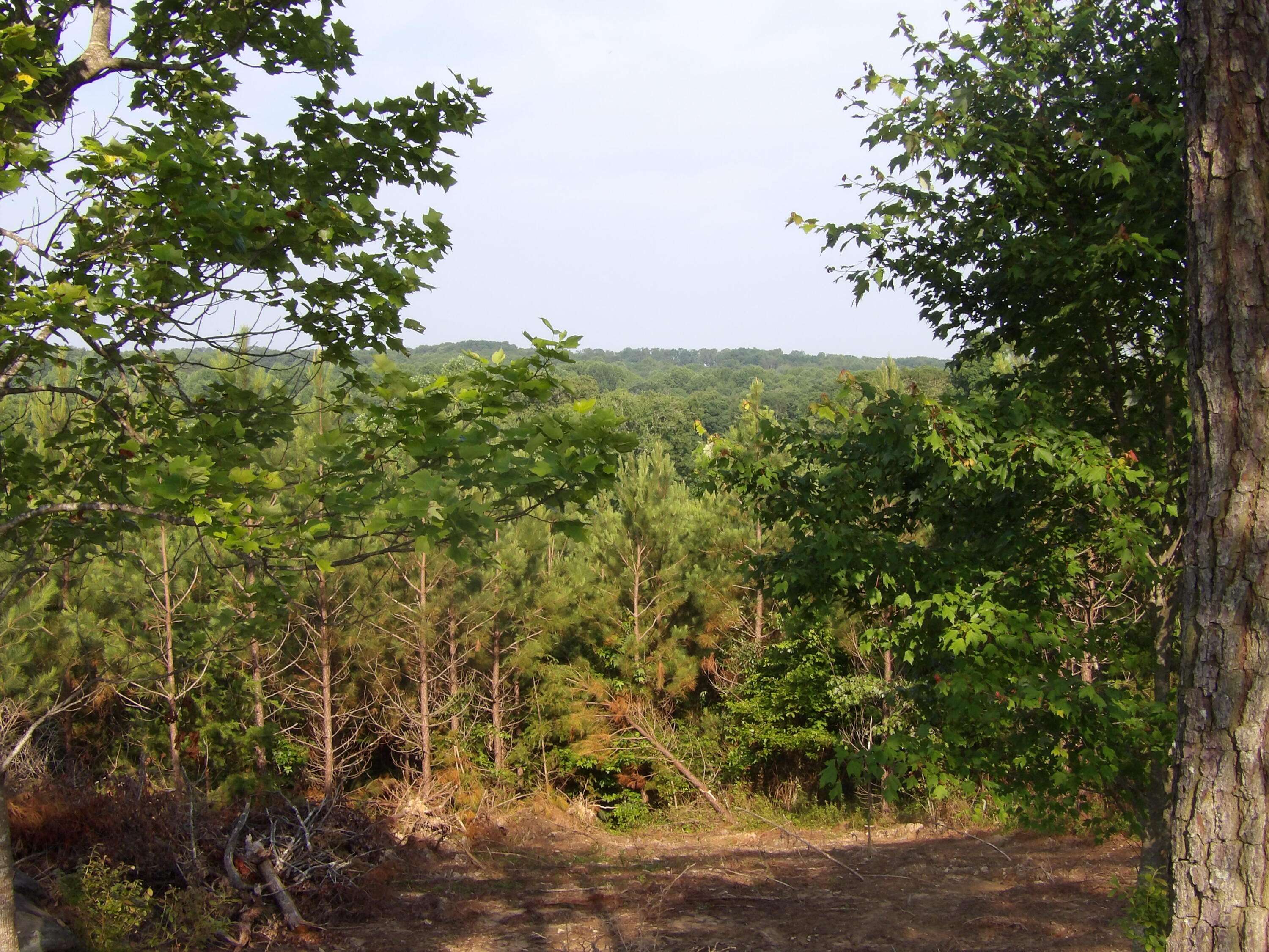 Evensville, TN 37332,02 Summer City RD