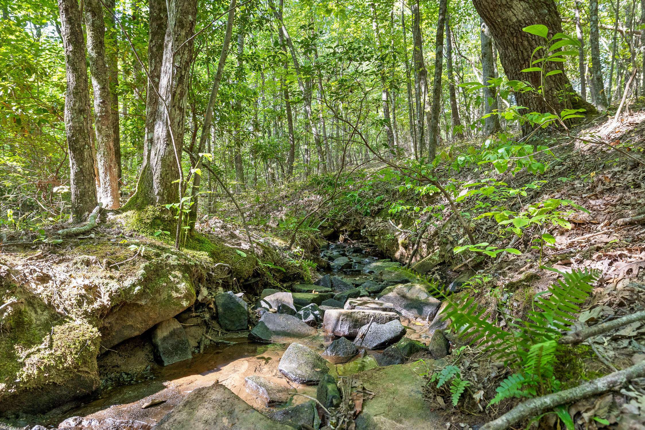Dunlap, TN 37327,68 Bluff View Drive