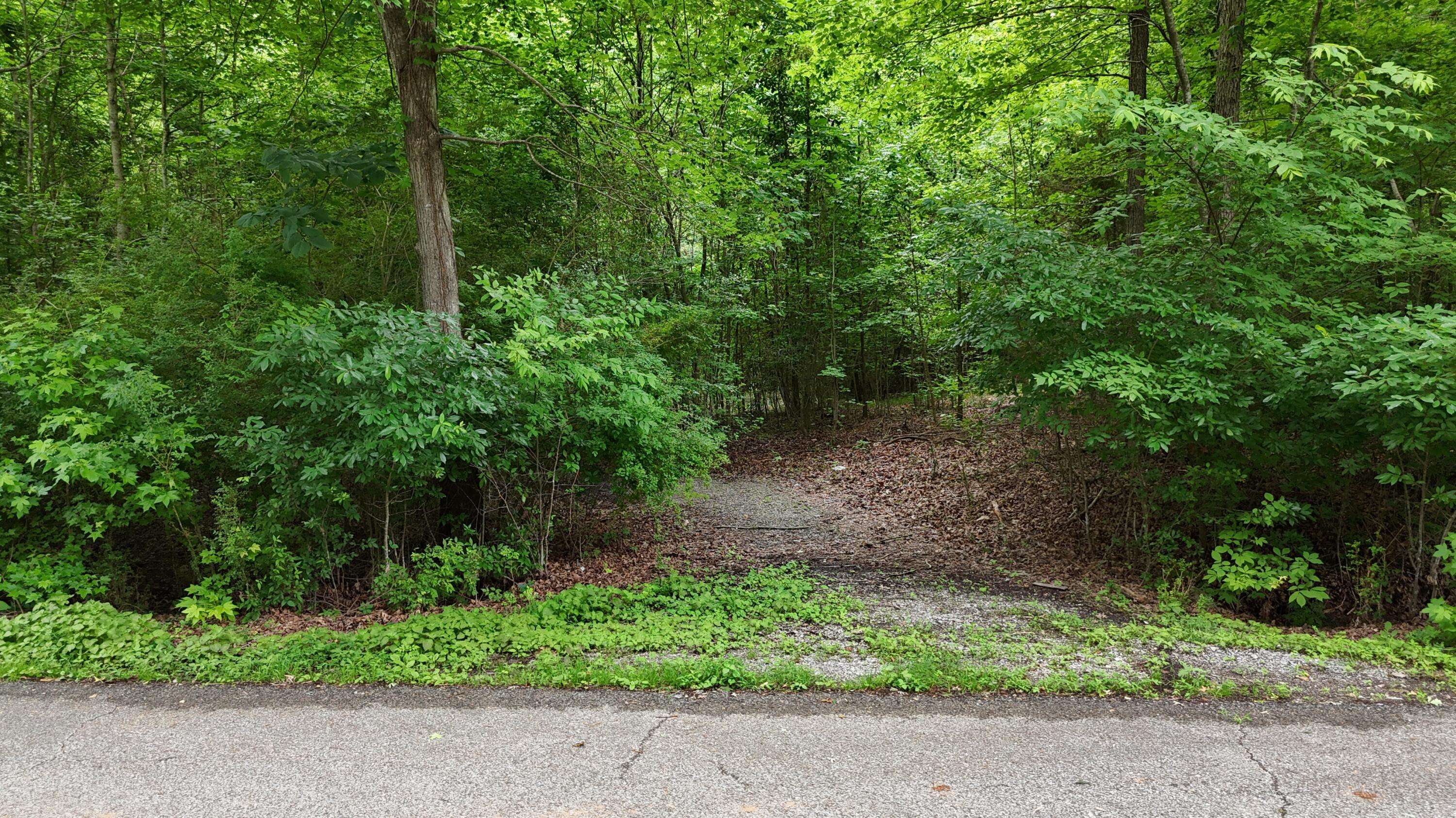 Harrison, TN 37341,5671 Willow Point LN