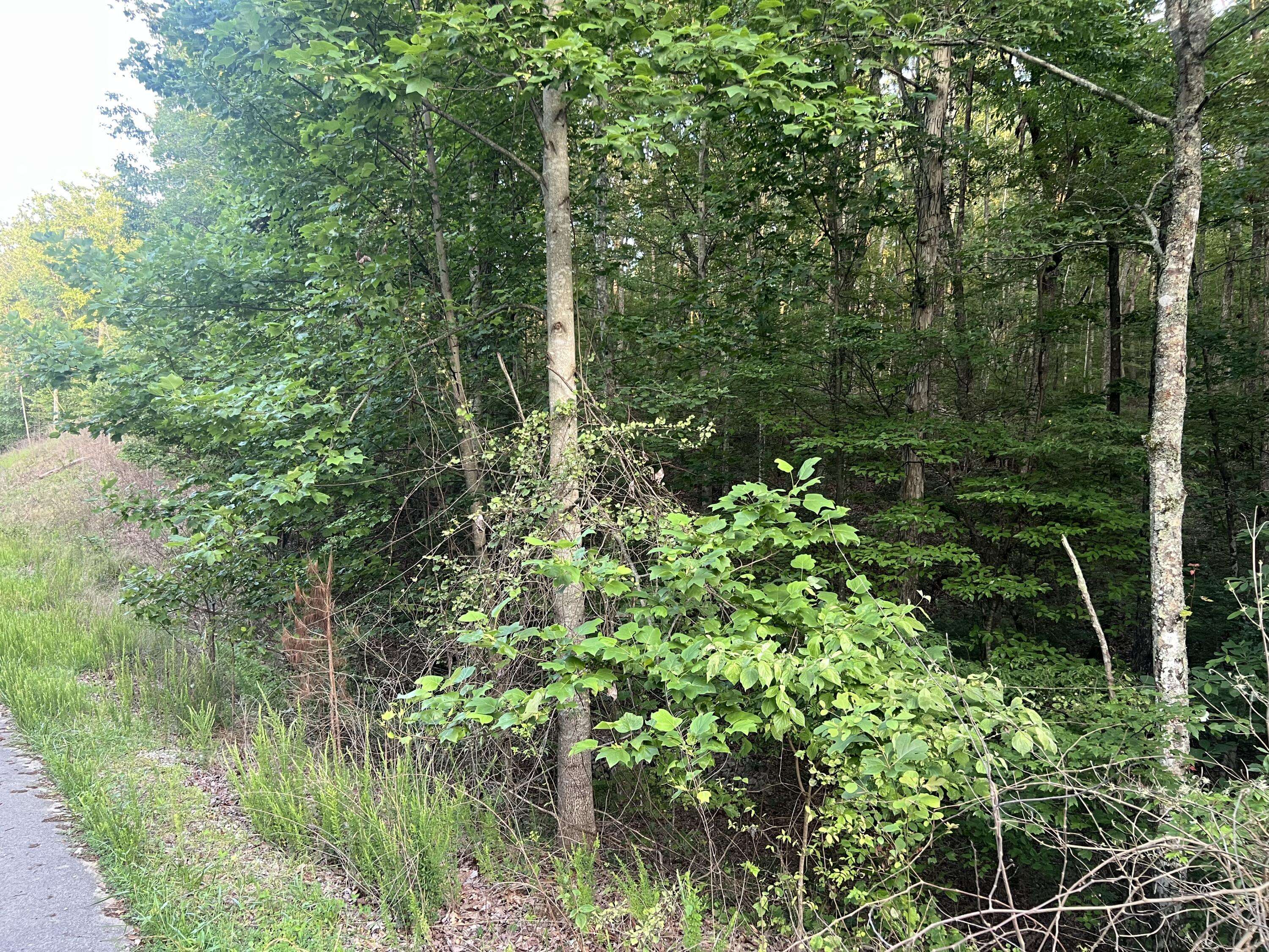 South Pittsburg, TN 37380,0 Wohalie LN