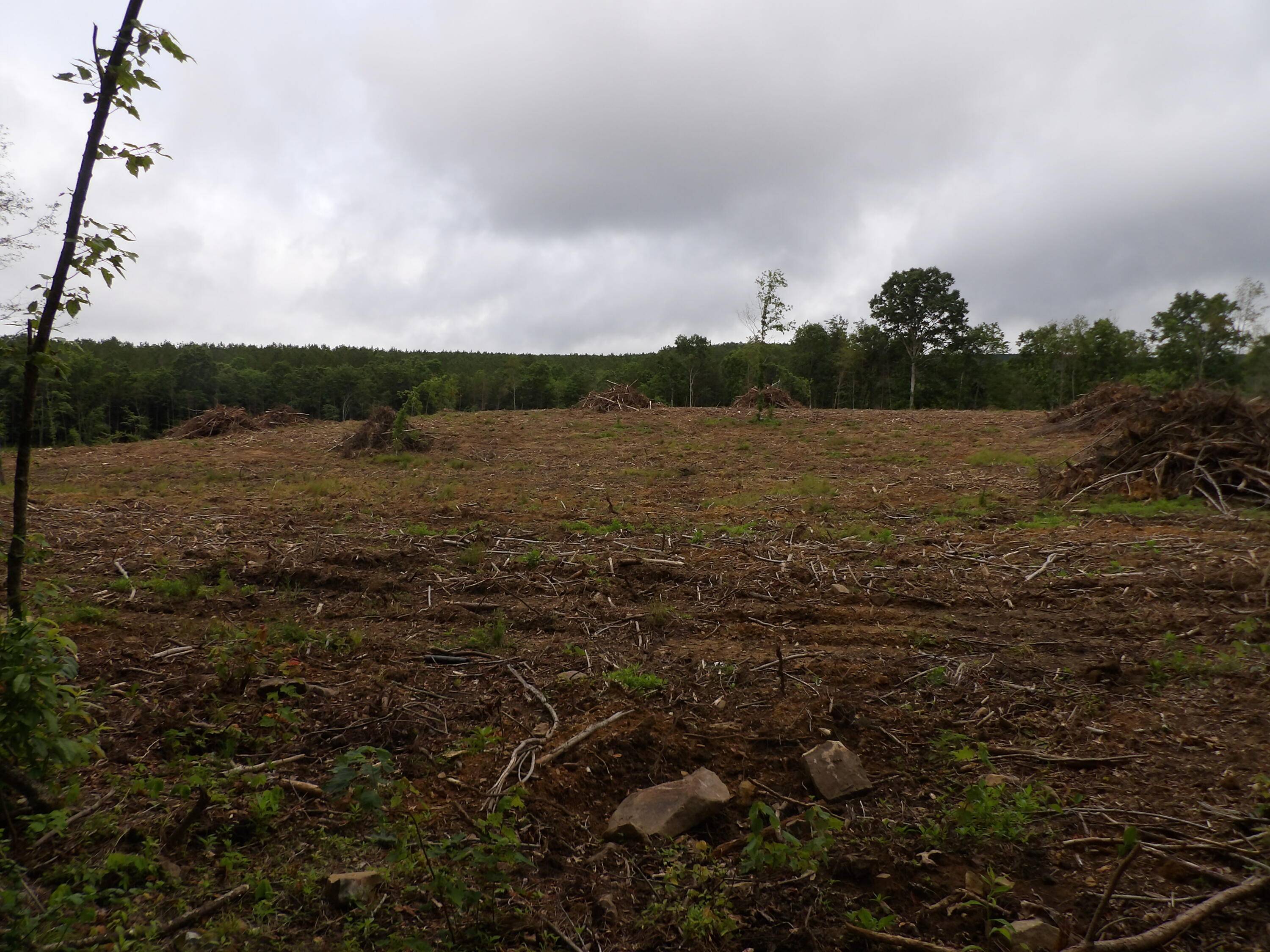 Evensville, TN 37332,Lot 8 Hughes Cemetery RD