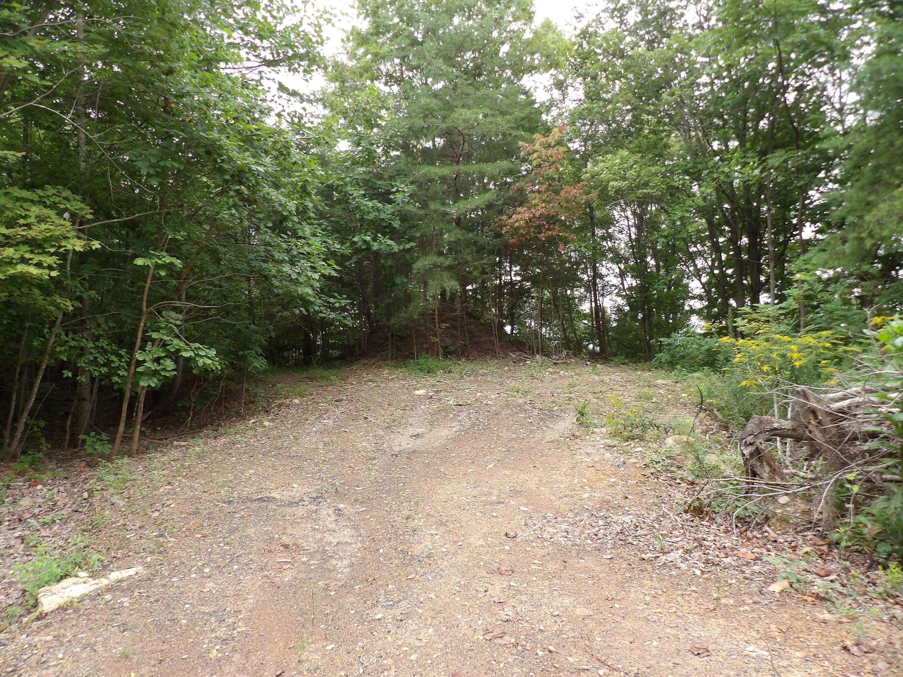 Pikeville, TN 37367,098 Porch Rock RD