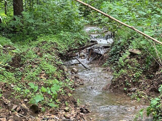 Dowelltown, TN 37059,1064 Cathcart Road