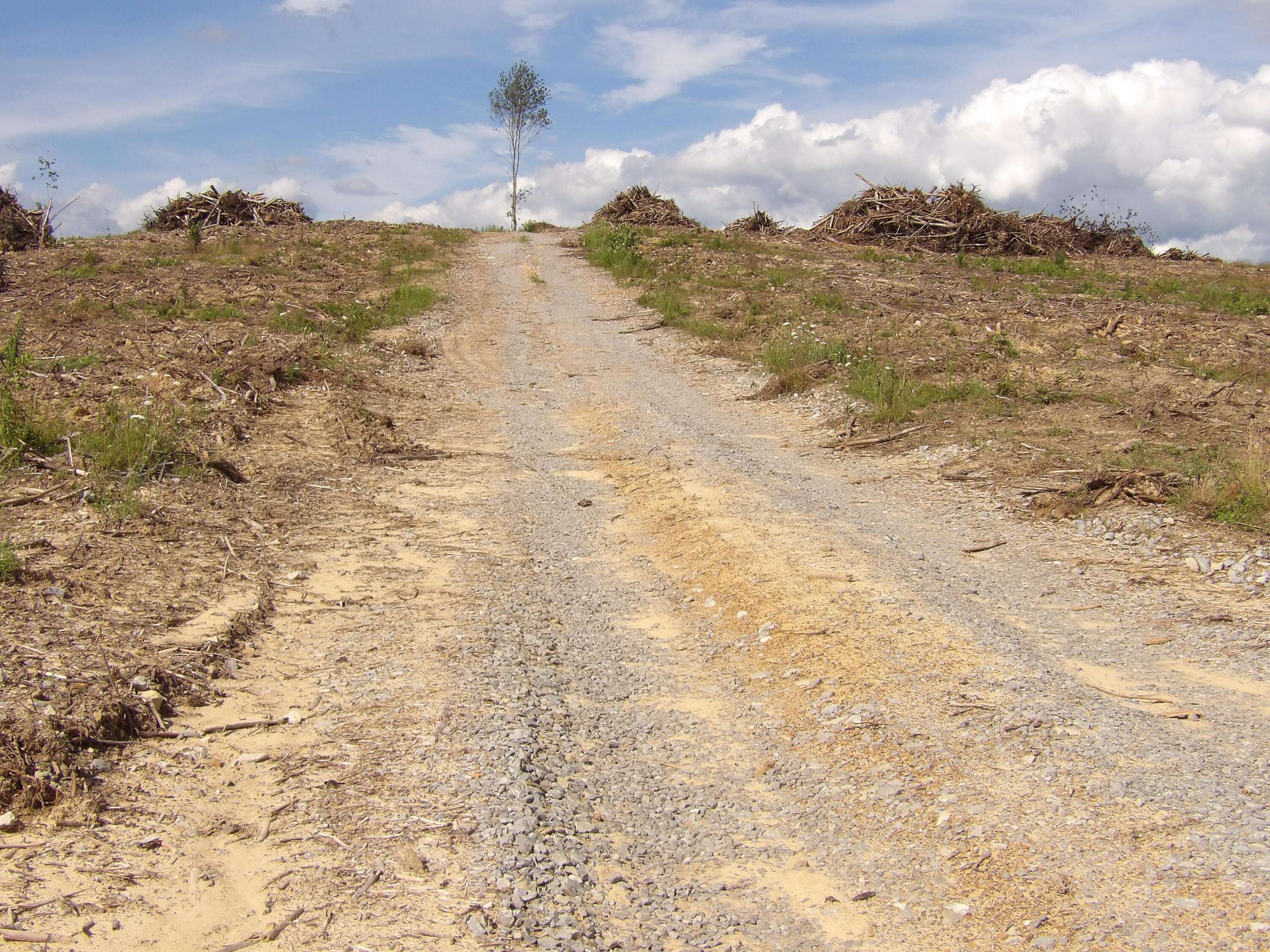 Evensville, TN 37332,Lot 14 Summer City RD