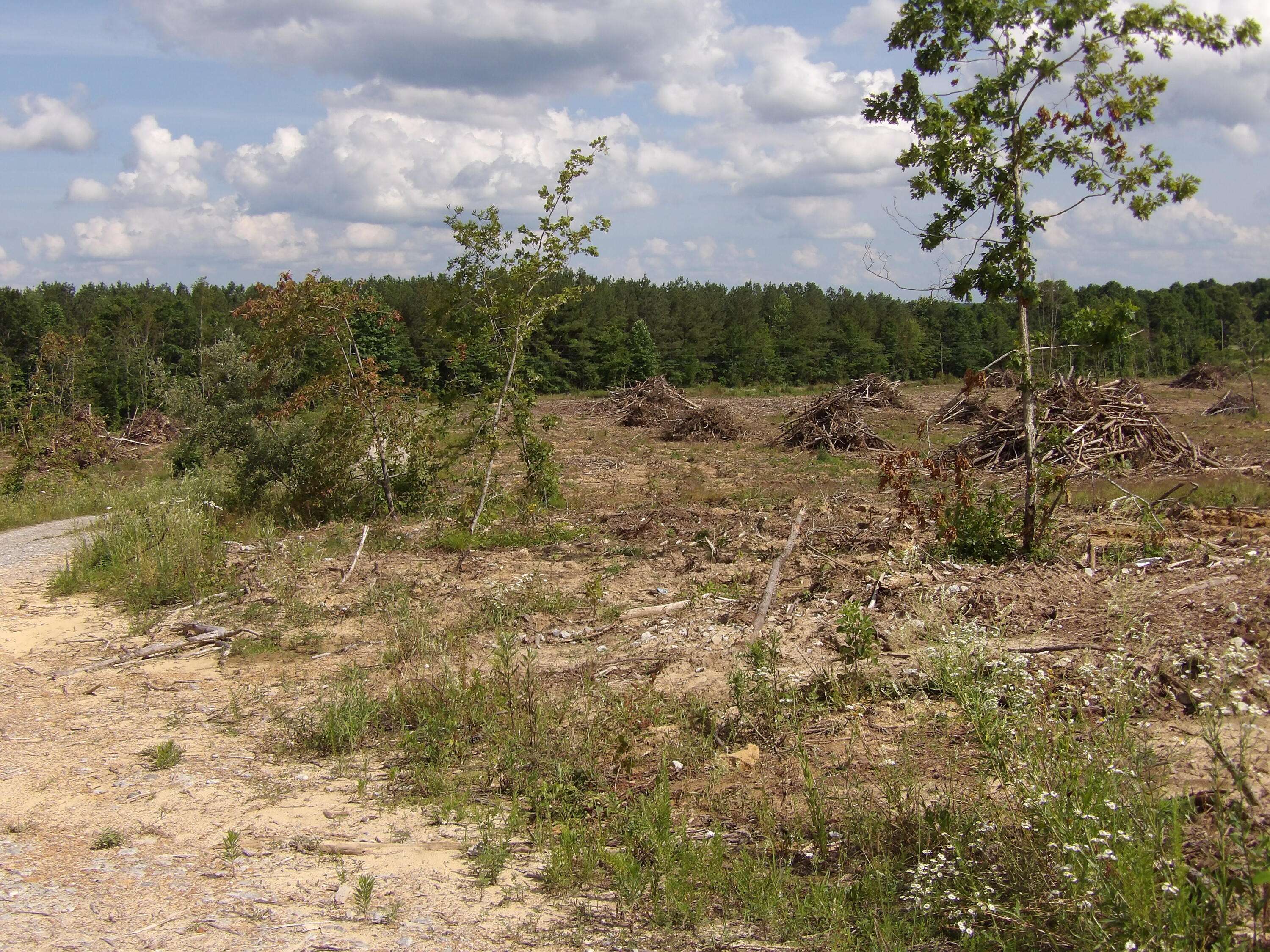 Evensville, TN 37332,Lot 17 Summer City RD