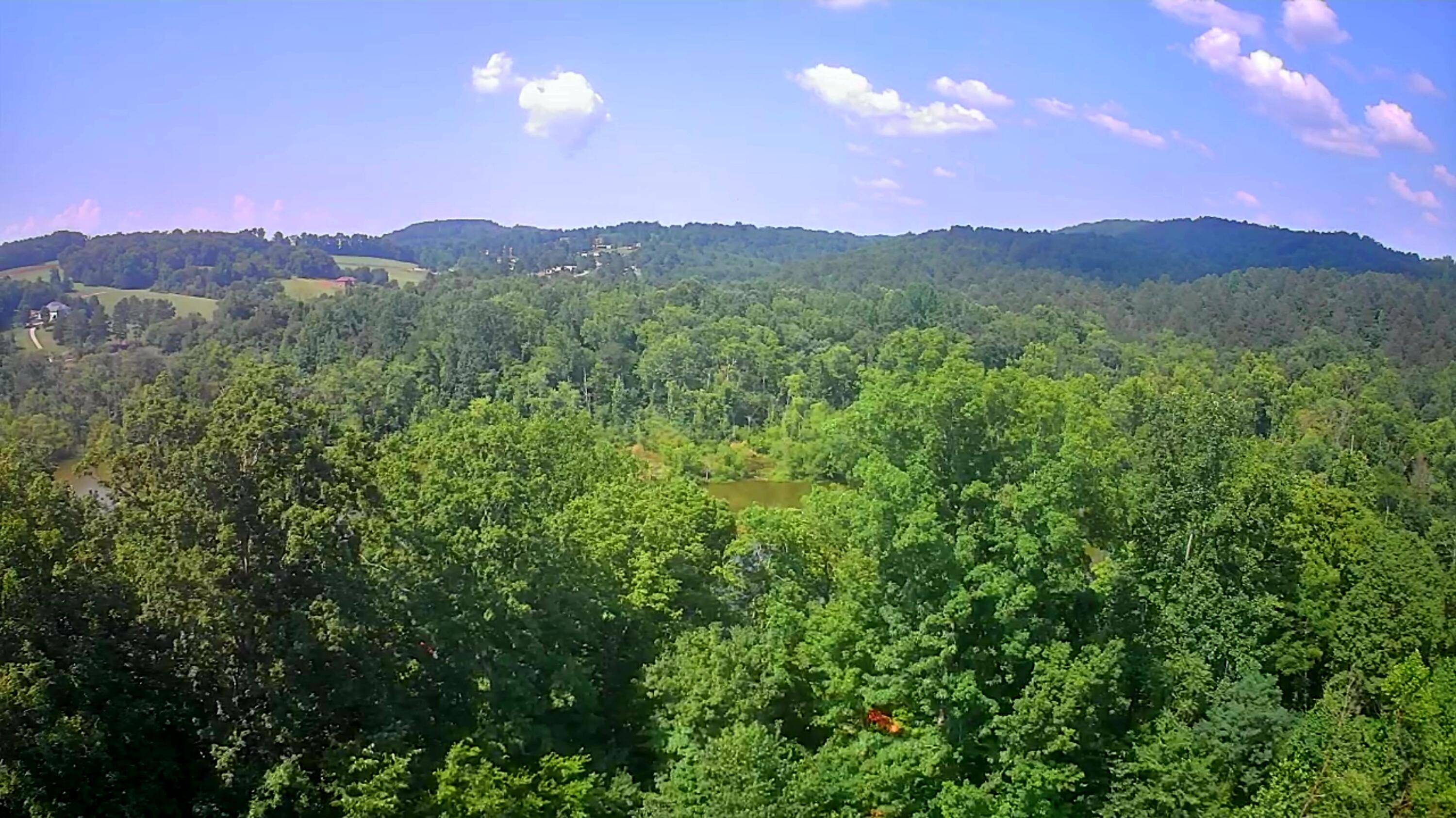 Decatur, TN 37322,0 Mill DR