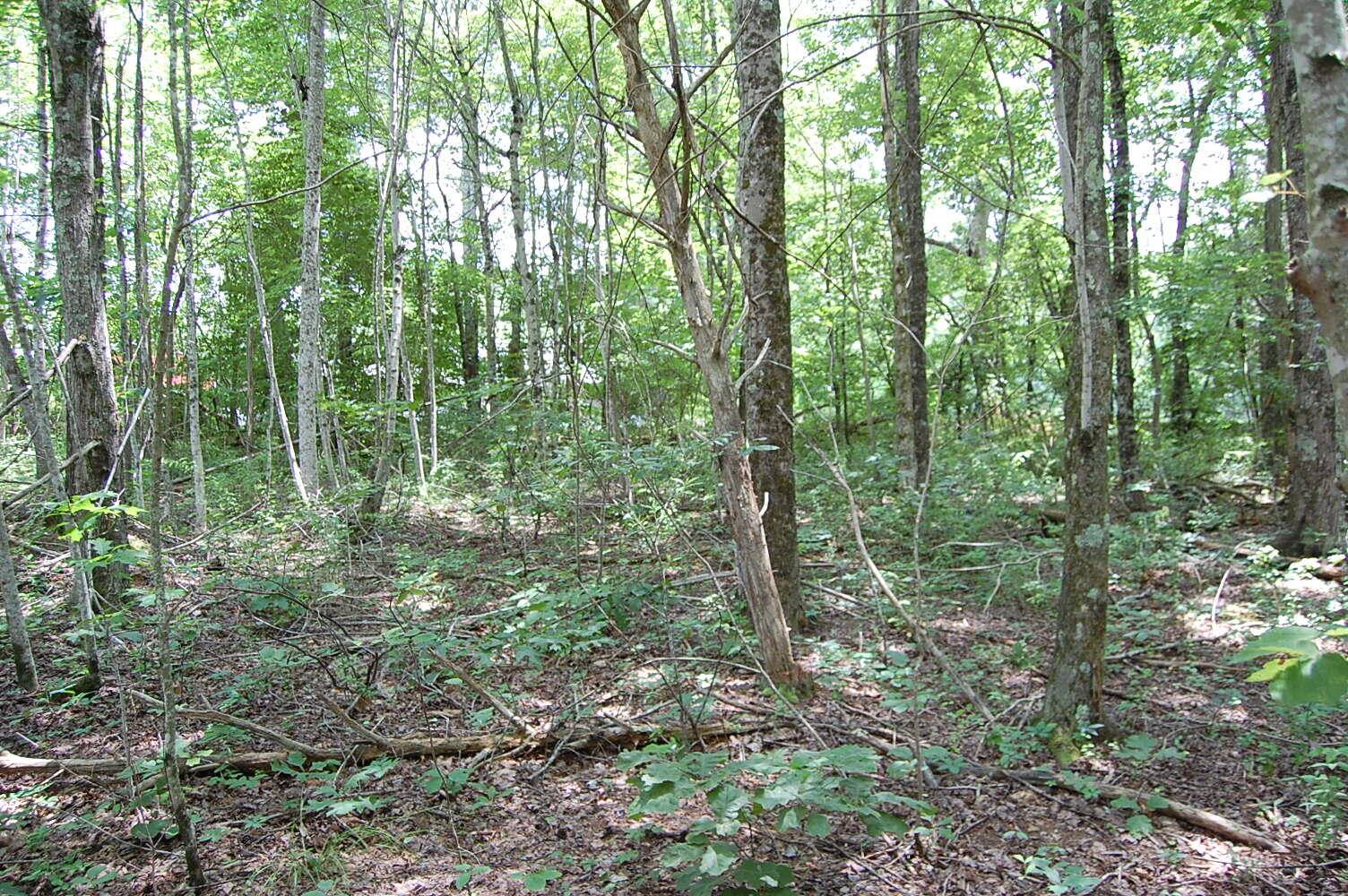 Dunlap, TN 37327,10 Laural Brook RD