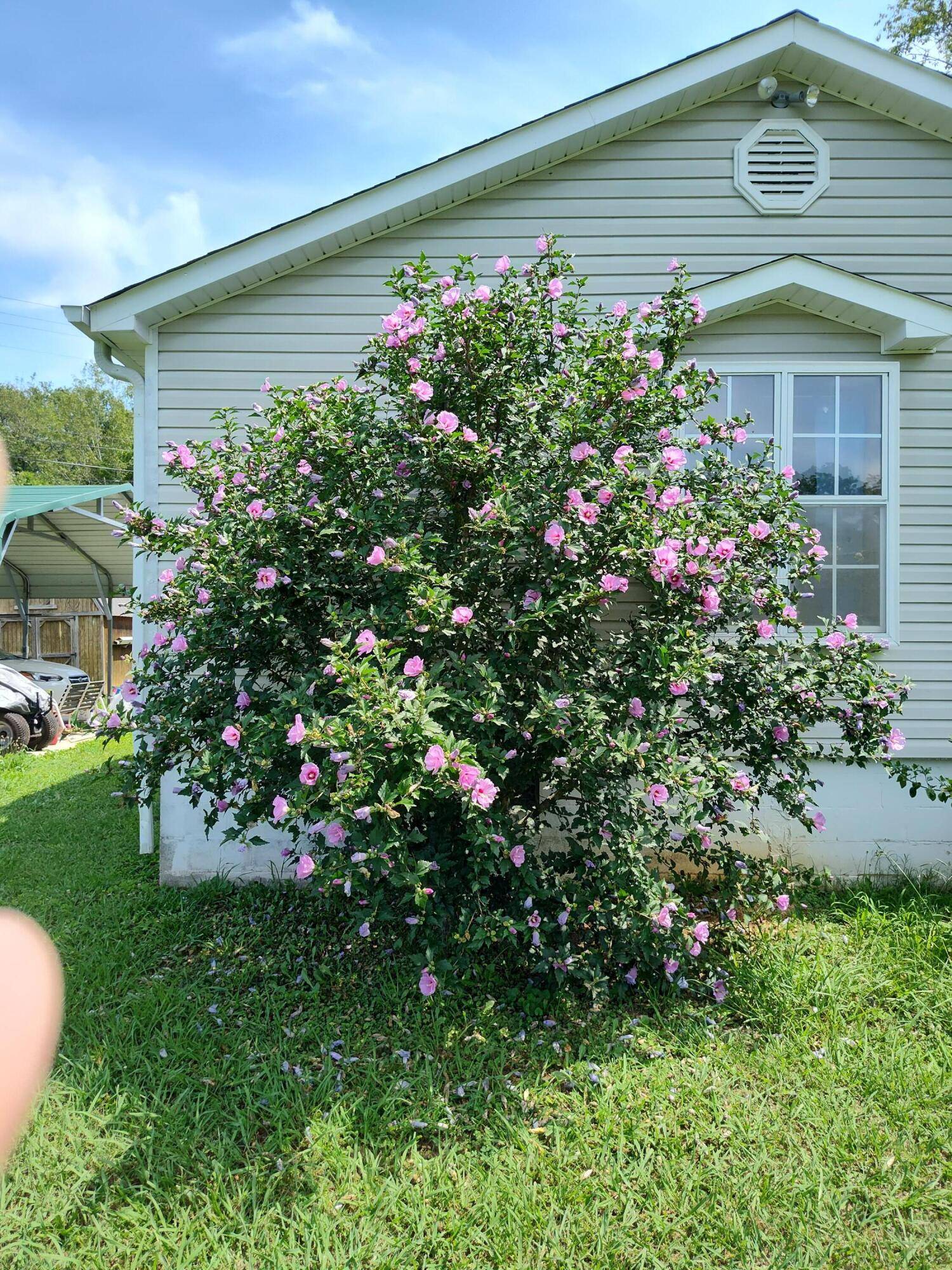 South Pittsburg, TN 37380,3581 Tn-156