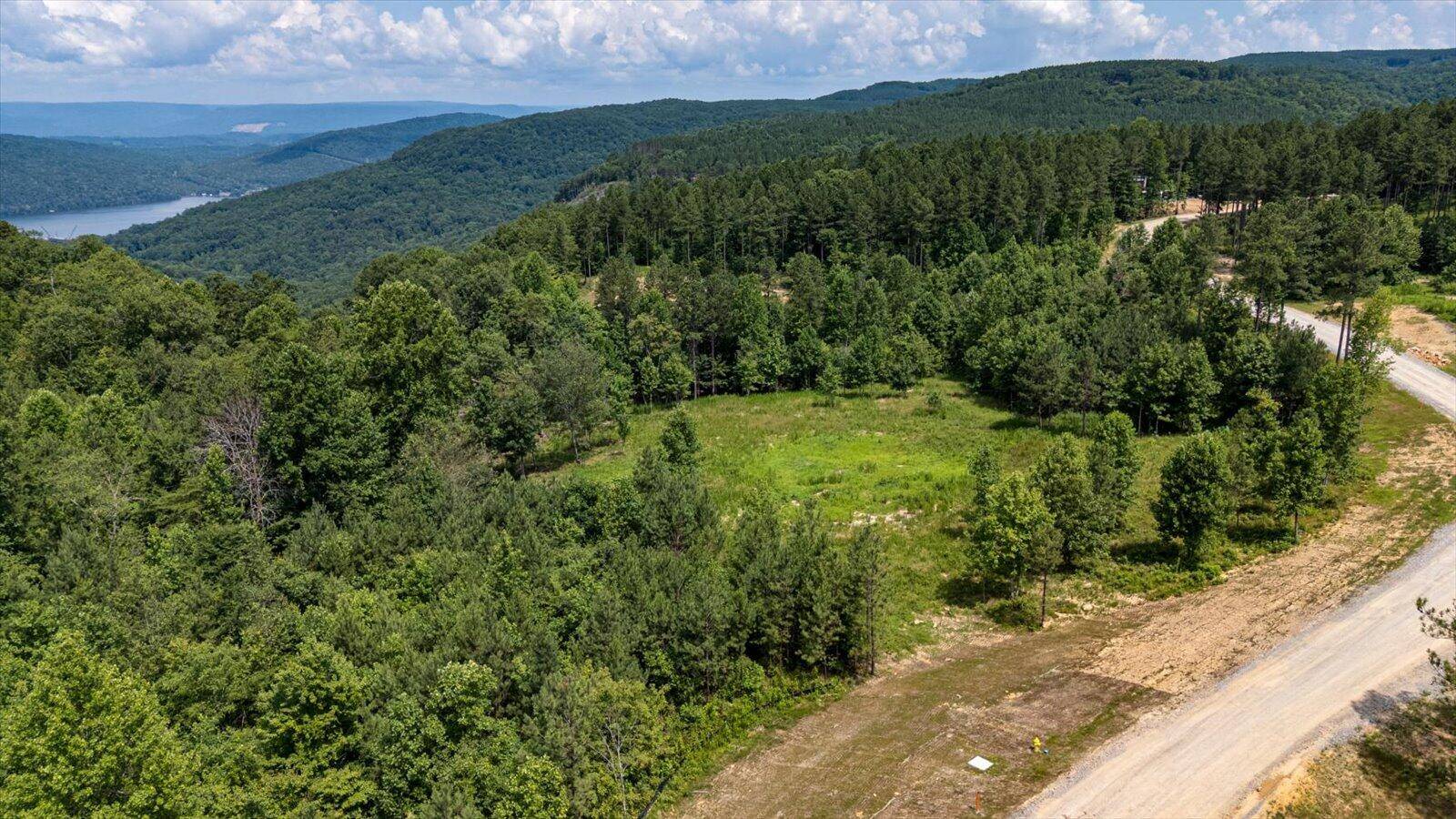 Guild, TN 37340,0 Birds Eye WAY
