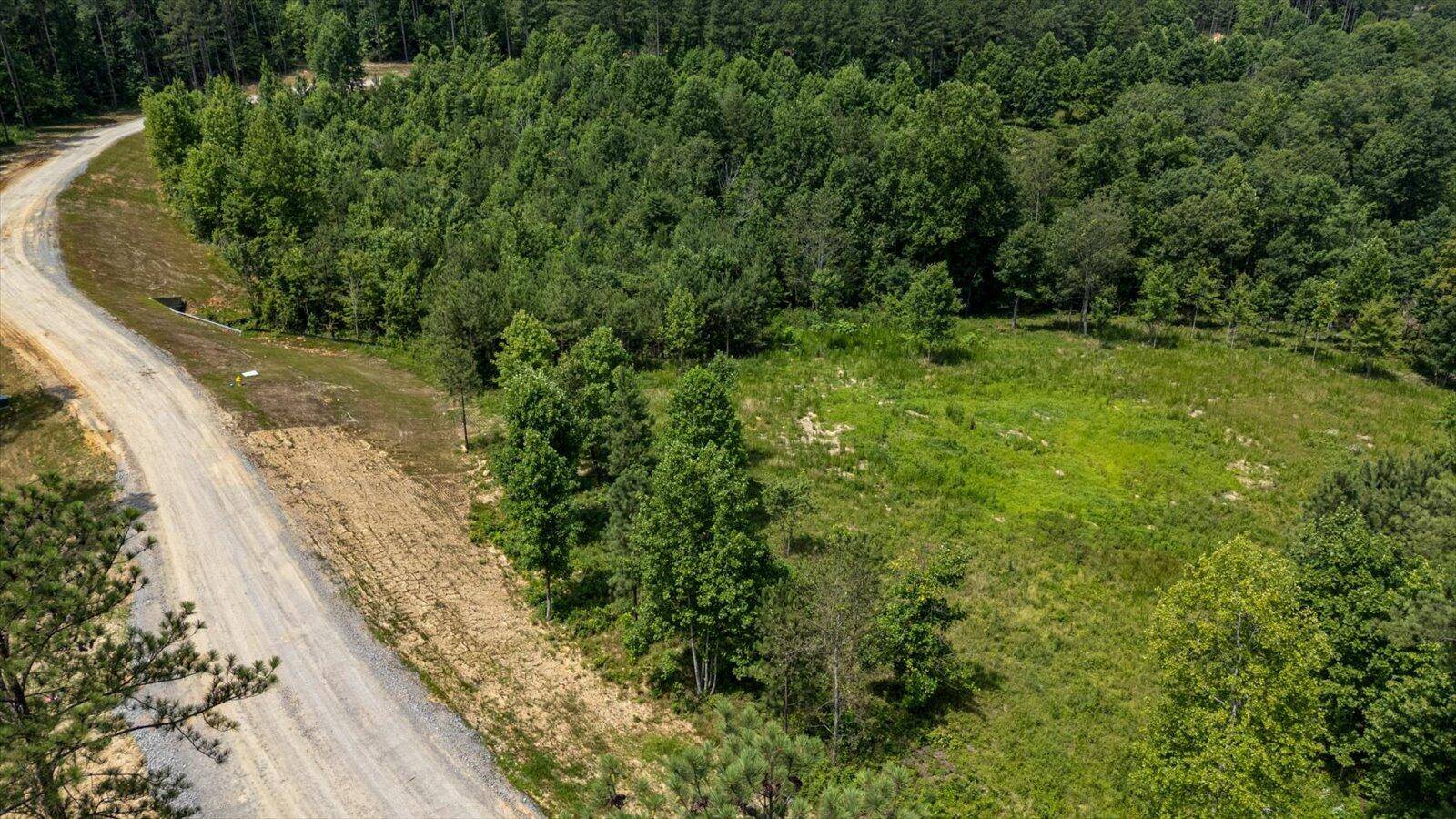 Guild, TN 37340,0 Birds Eye WAY