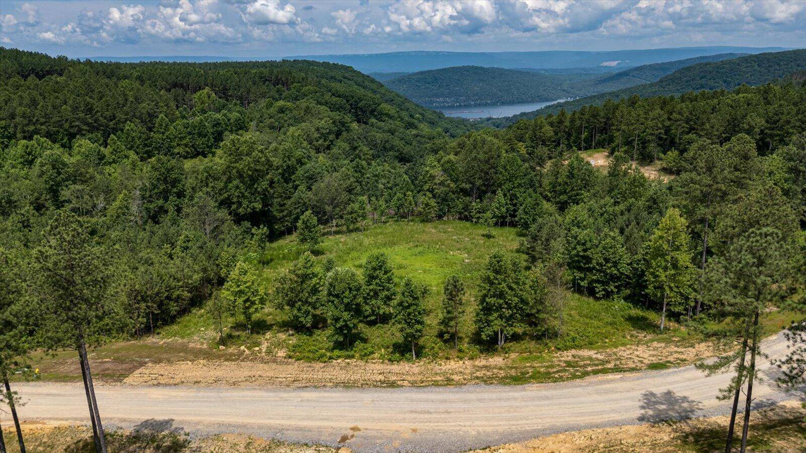 Guild, TN 37340,0 Birds Eye WAY