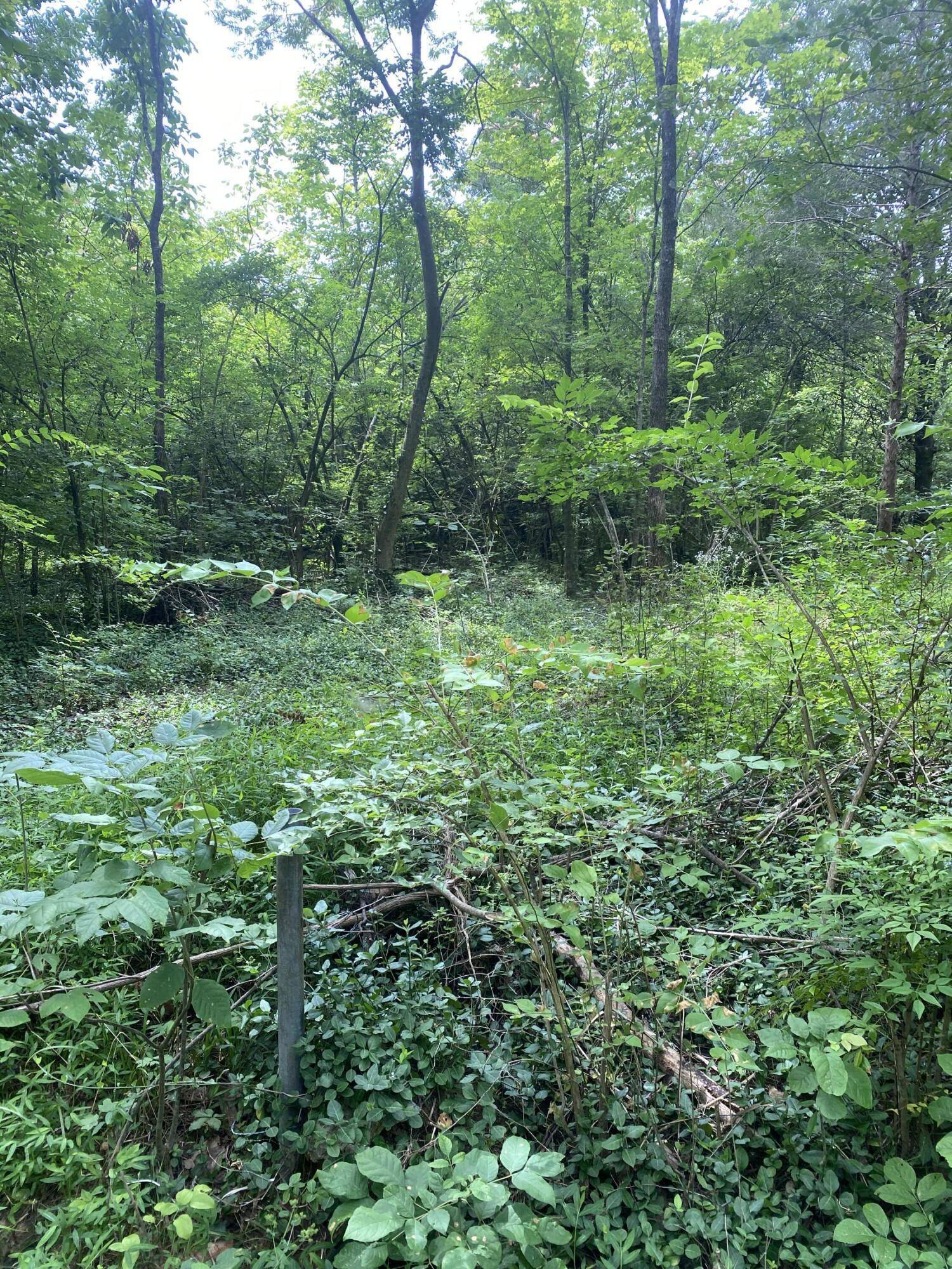 Chattanooga, TN 37415,0 Mccahill RD