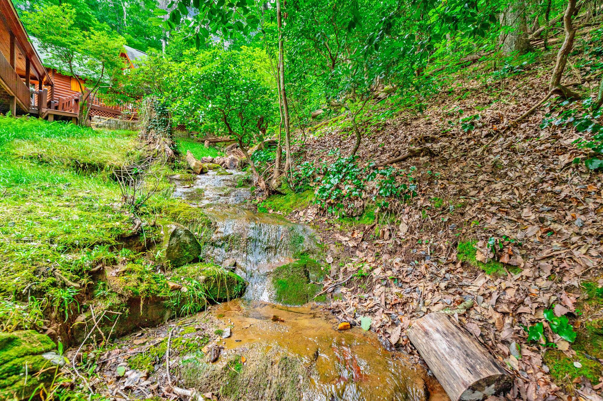 Ellijay, GA 30540,879 Amy Creek CIR