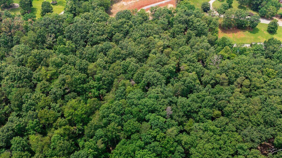 Ooltewah, TN 37363,9366 Balata DR