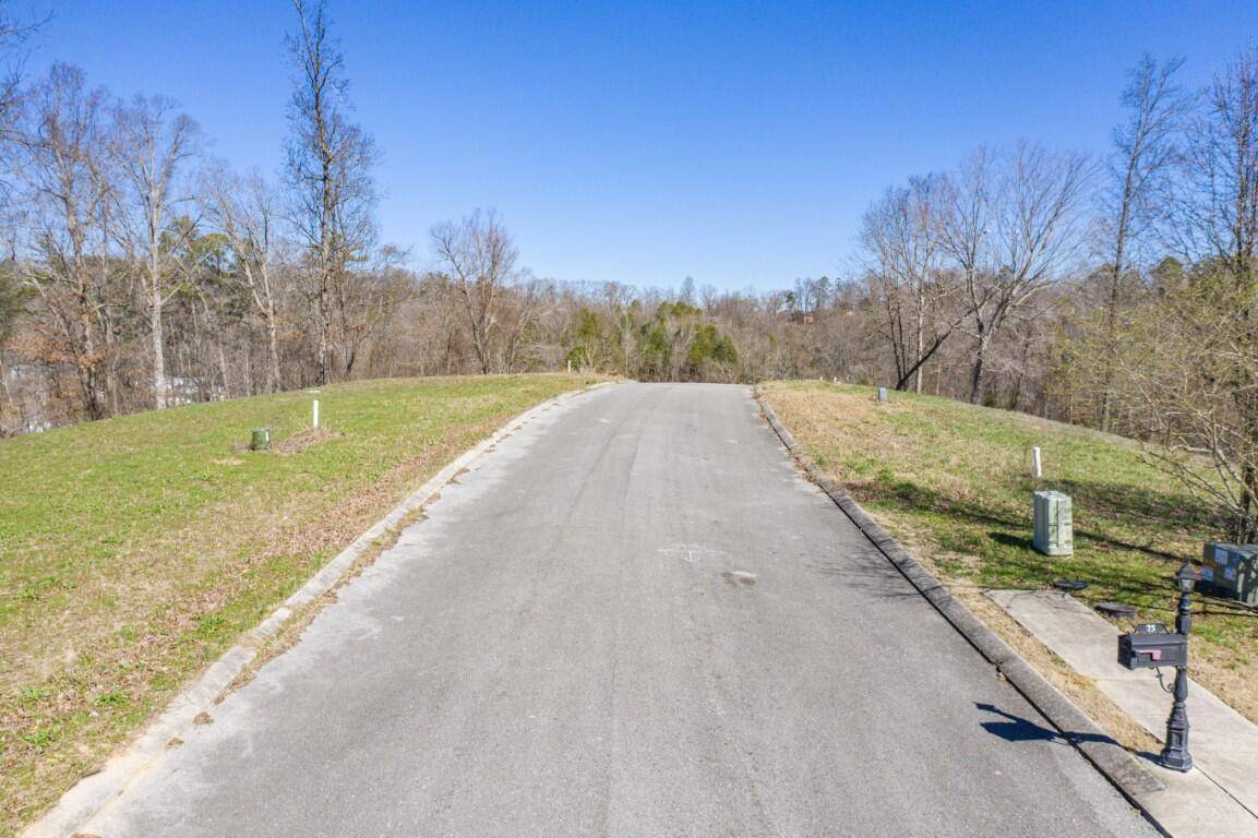 Rossville, GA 30741,Lot 78 Battle Bluff Drive