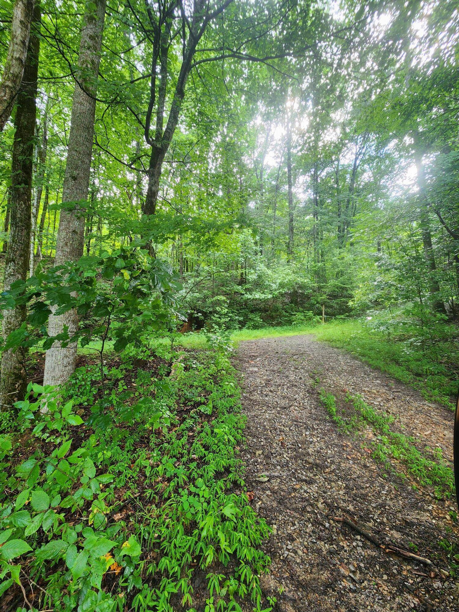 South Pittsburg, TN 37380,0 Highway 156