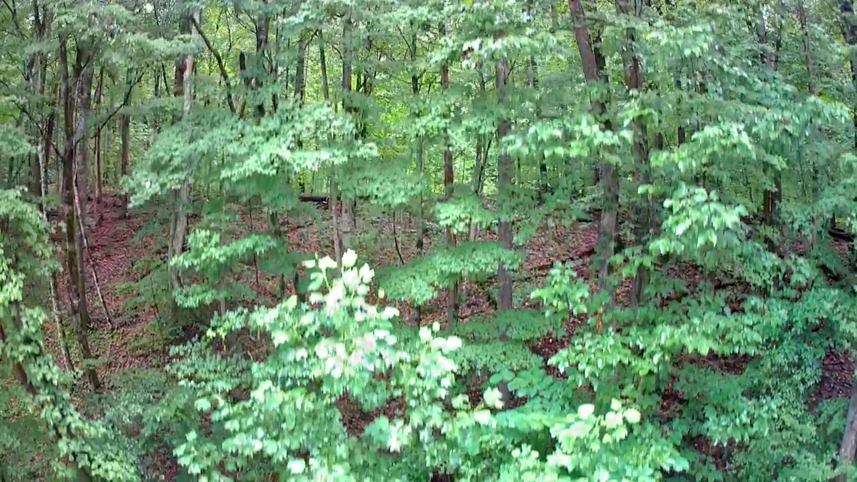 South Pittsburg, TN 37380,0 Highway 156