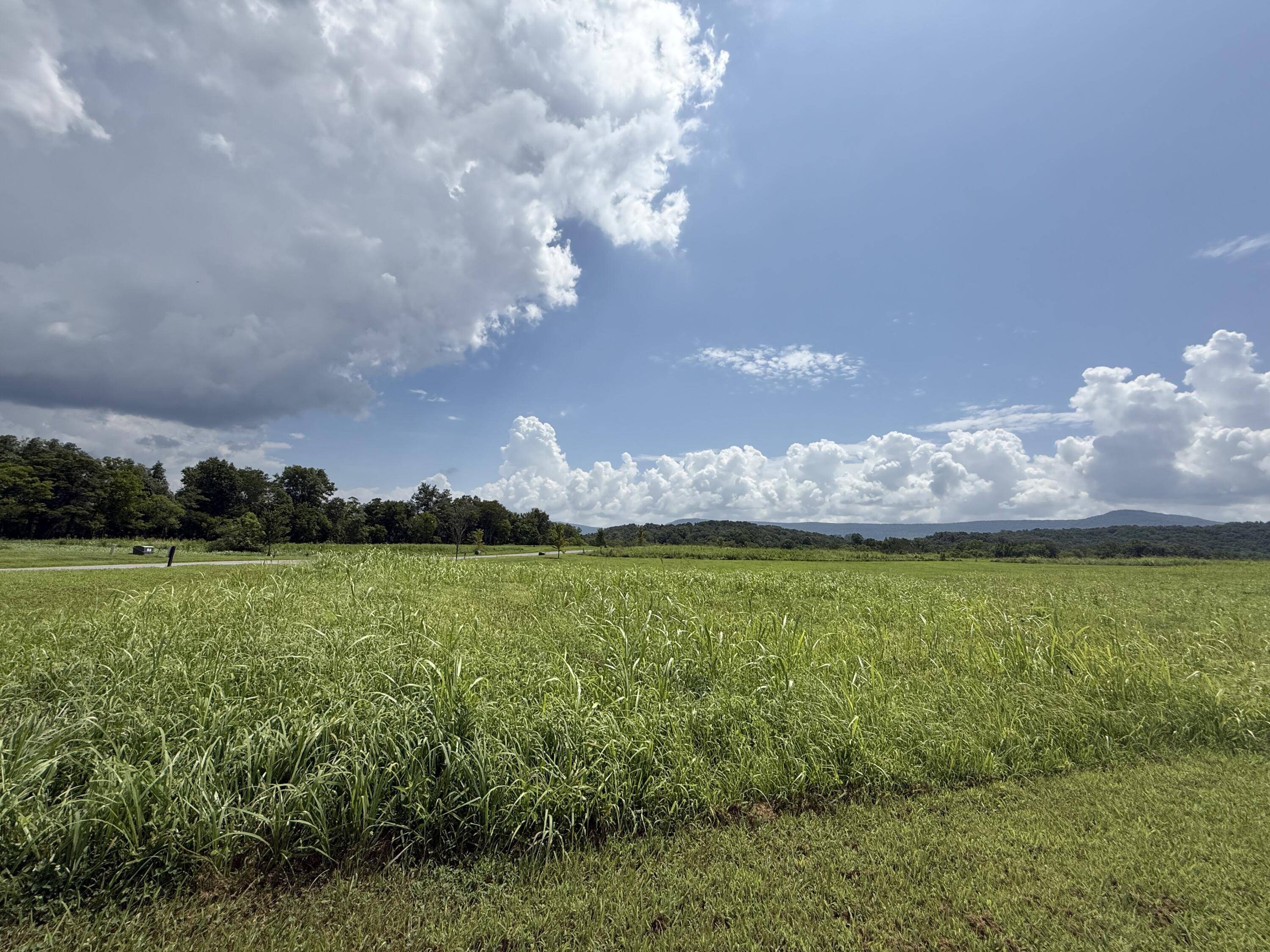 Dunlap, TN 37327,0 River Ridge DR
