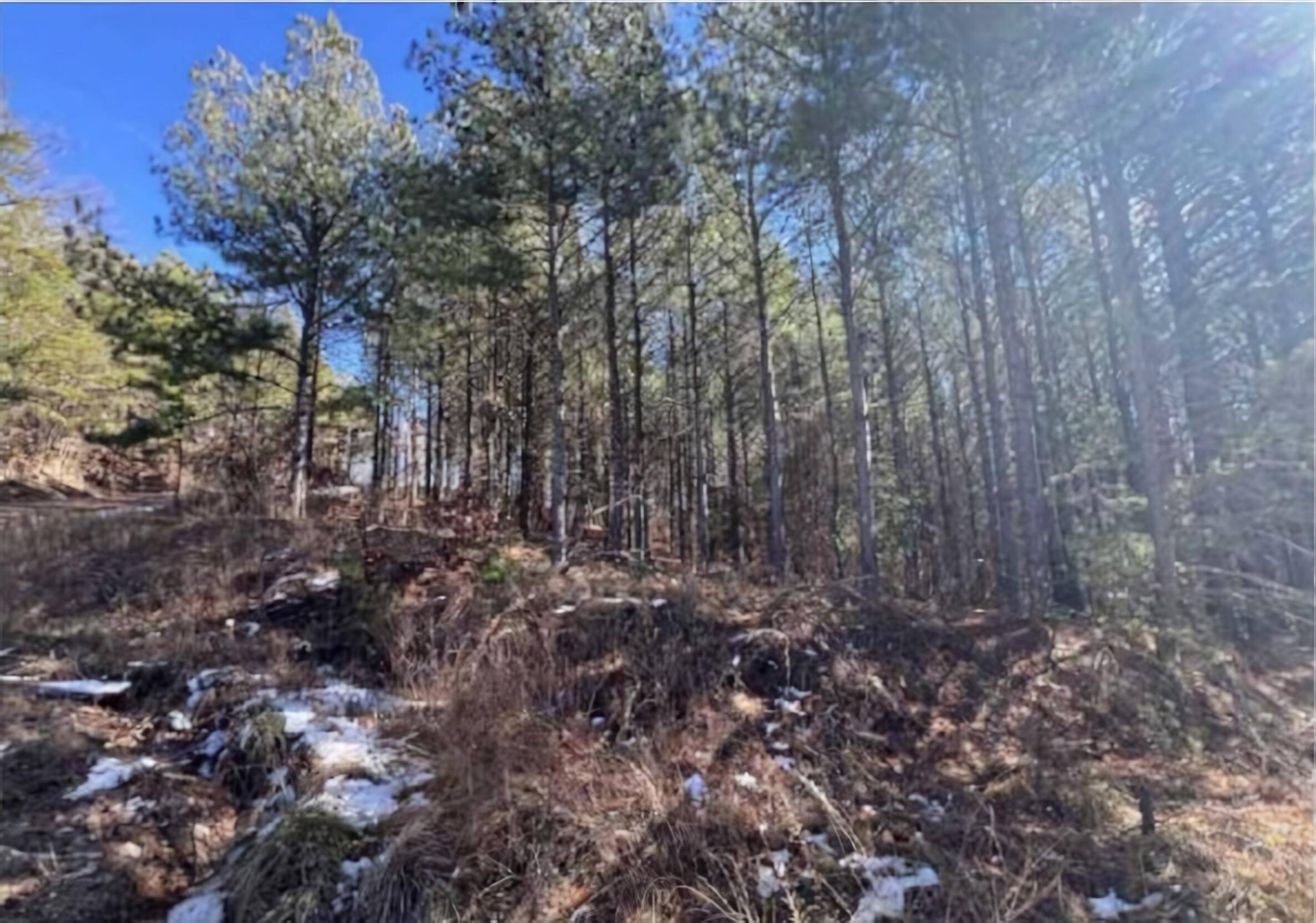 Guild, TN 37340,0 Wildlife WAY