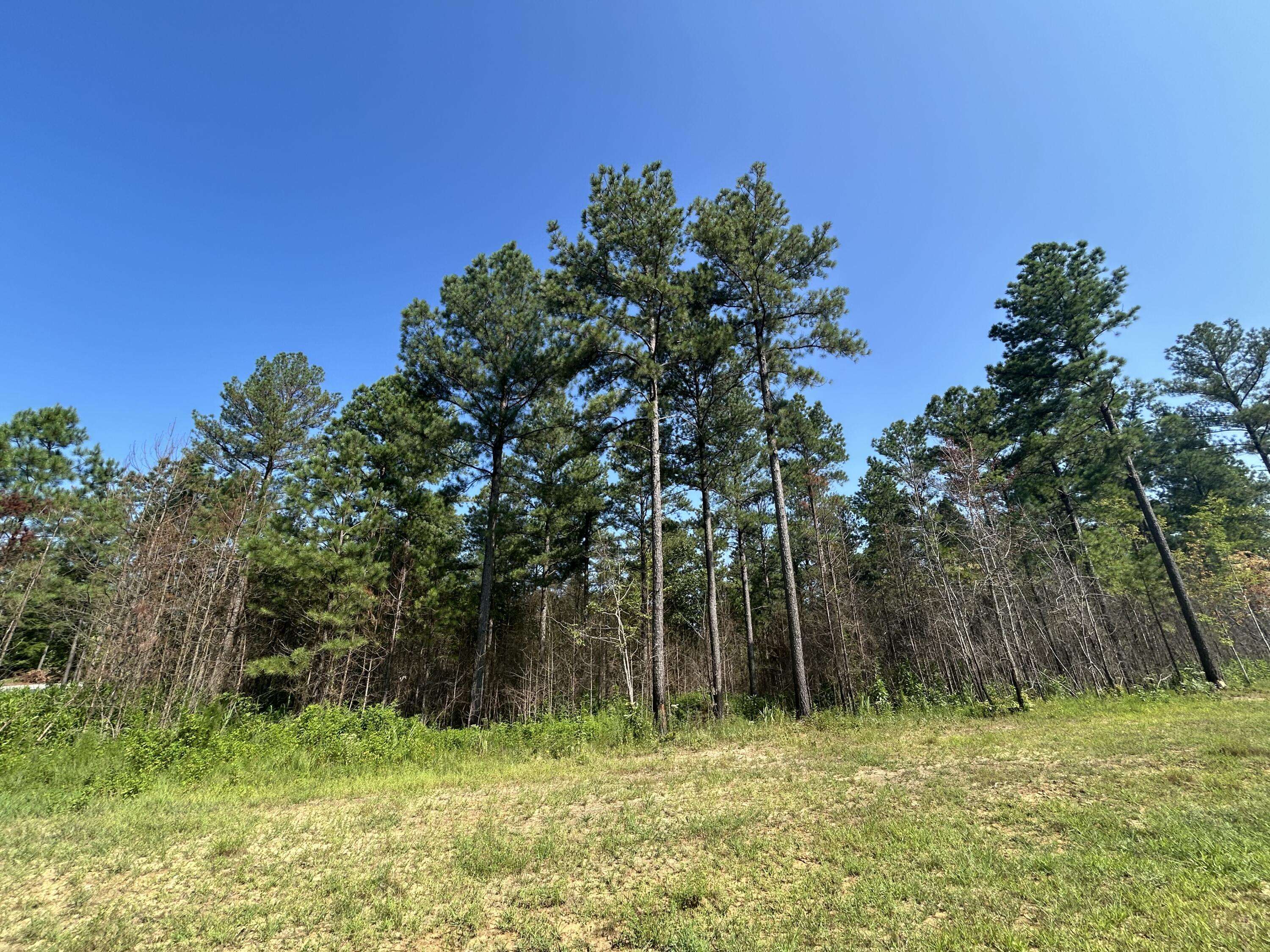 Guild, TN 37340,520 Buck Crossing DR