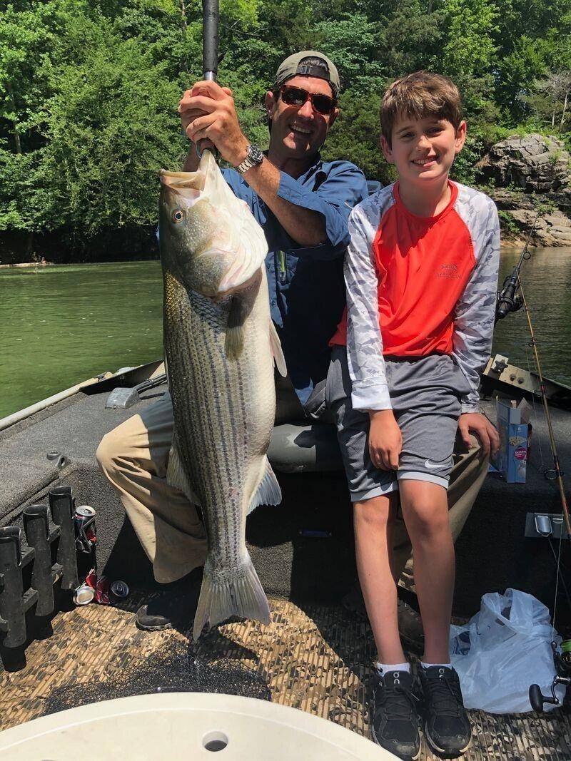 Ranger, GA 30734,580 White Graves RD