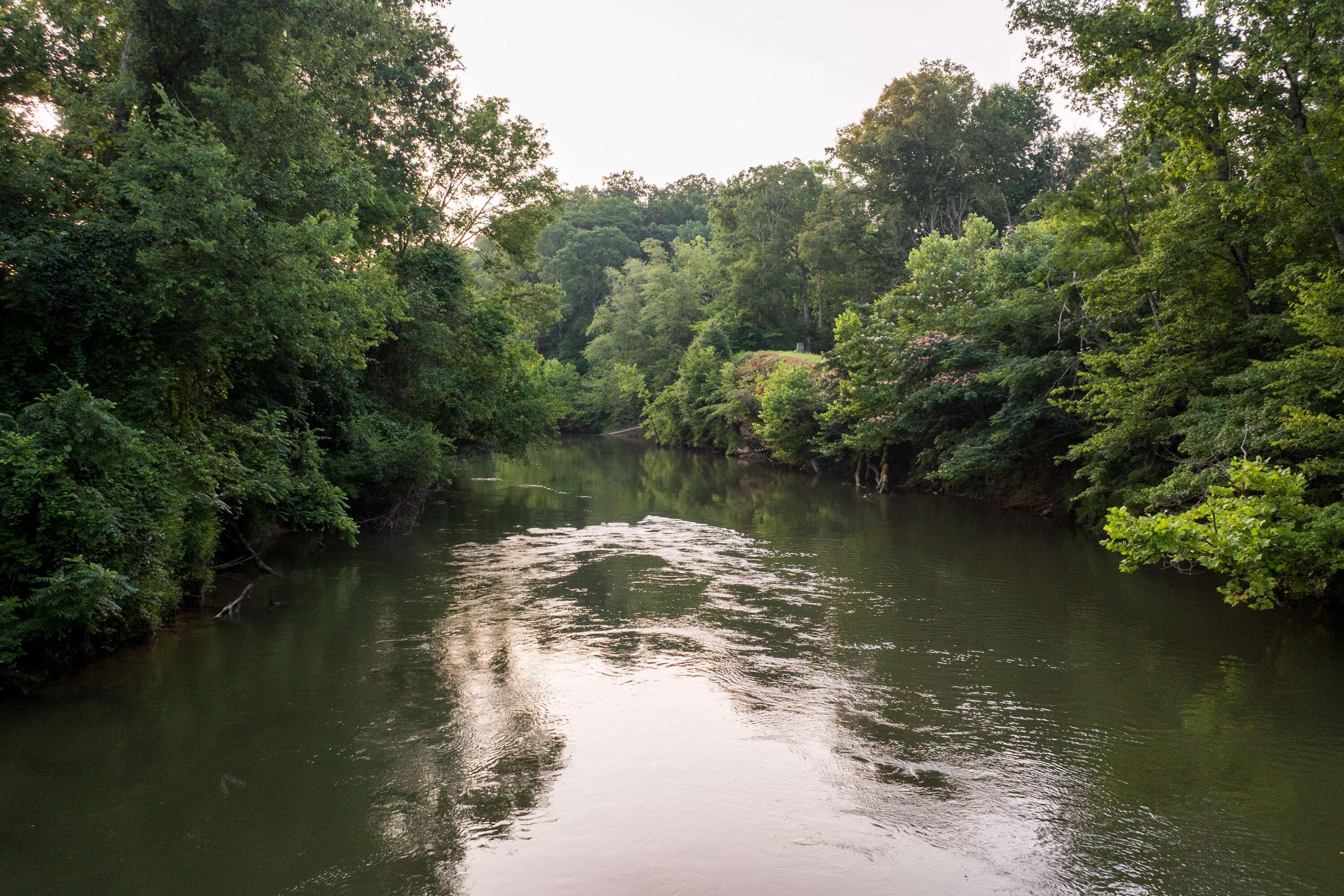 Ranger, GA 30734,580 White Graves RD