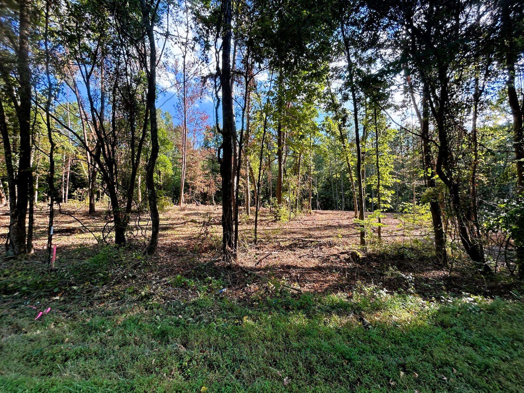 Ten Mile, TN 37880,Tract 1 Pleasant Hill Road