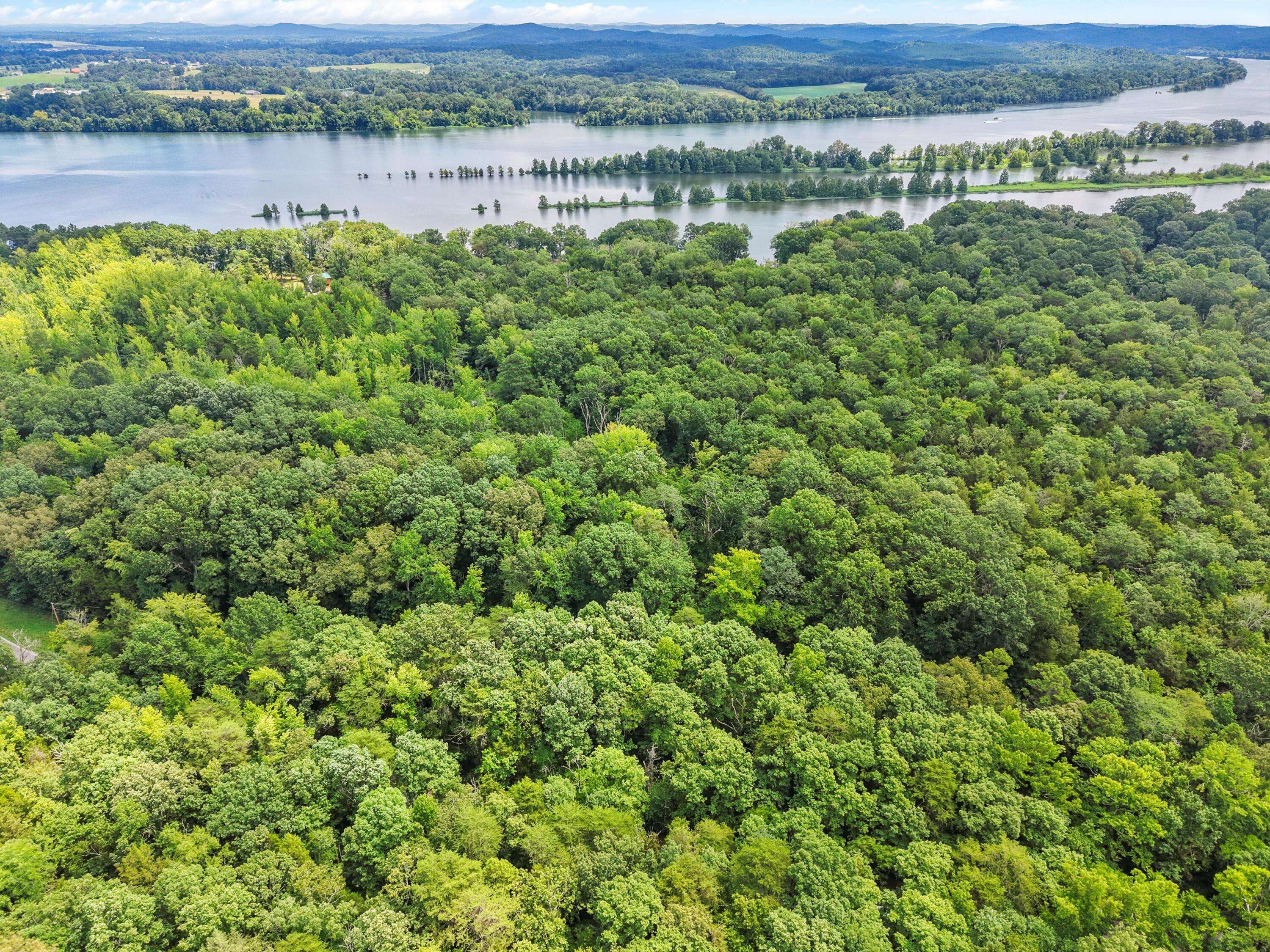 Decatur, TN 37322,Lot 31 Armstrong Ferry RD