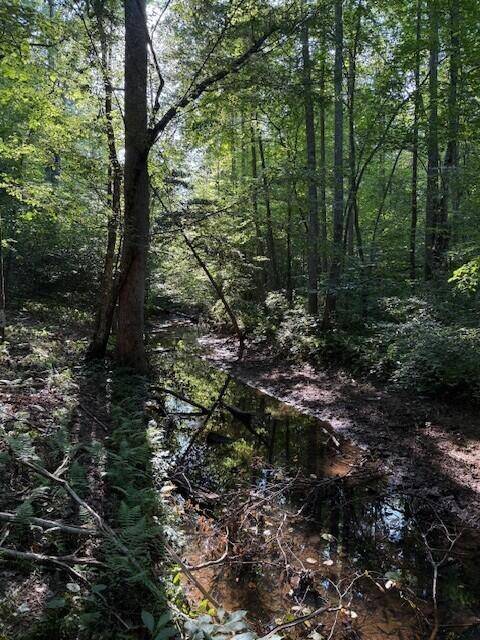 Palmer, TN 37365,Lot 2 Hwy 108
