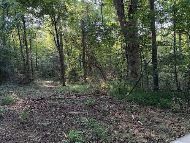 Palmer, TN 37365,Lot 2 Hwy 108