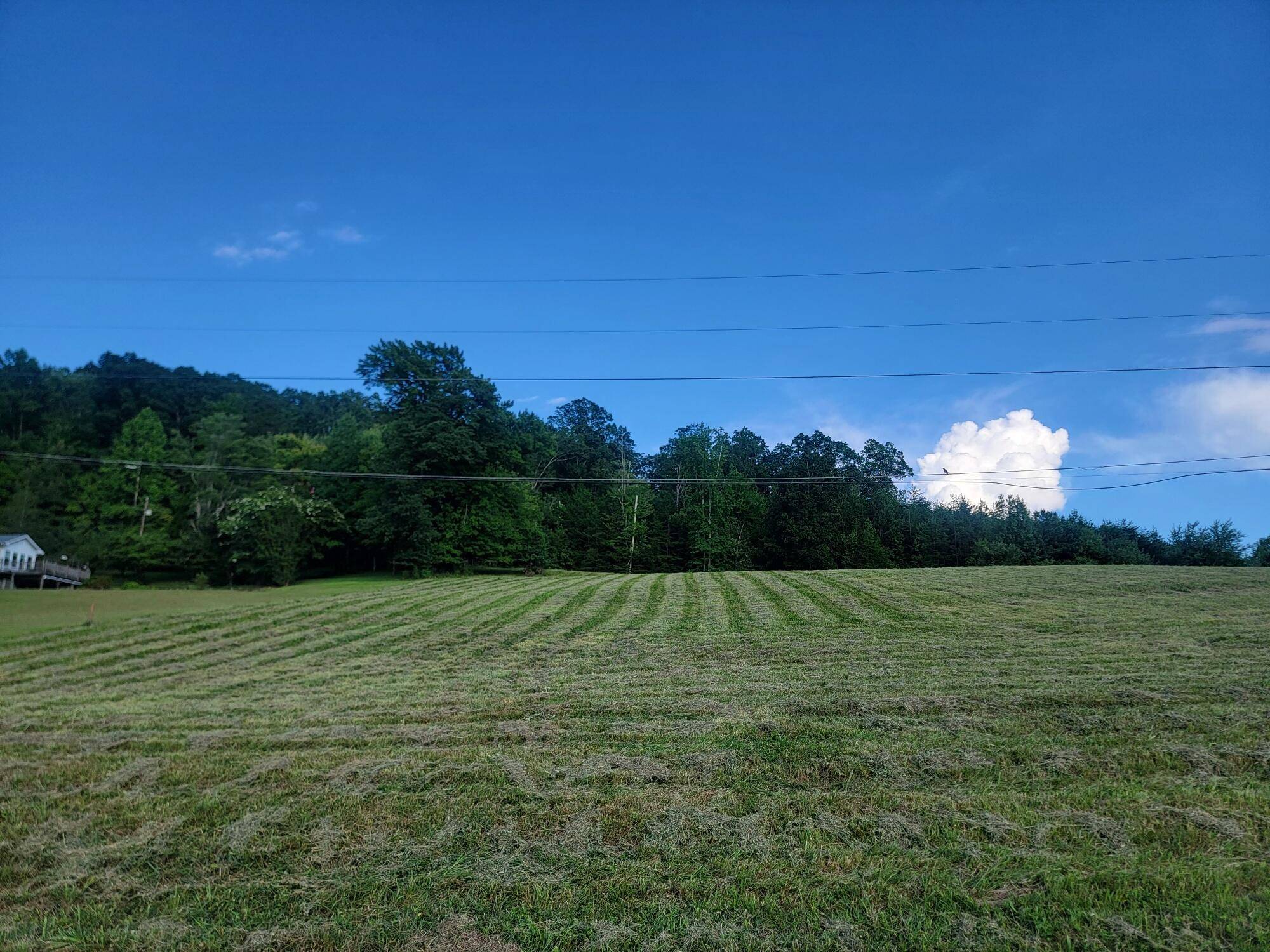 Spring City, TN 37381,Lot 33 Hinch ST