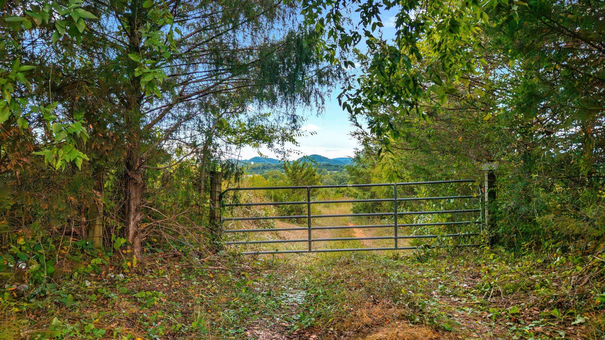 Englewood, TN 37329,0 County Road 550