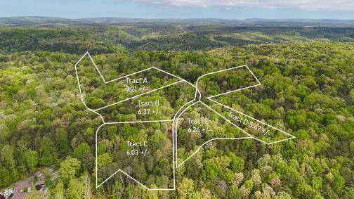 Signal Mountain, TN 37377,8957 Big Bend RD