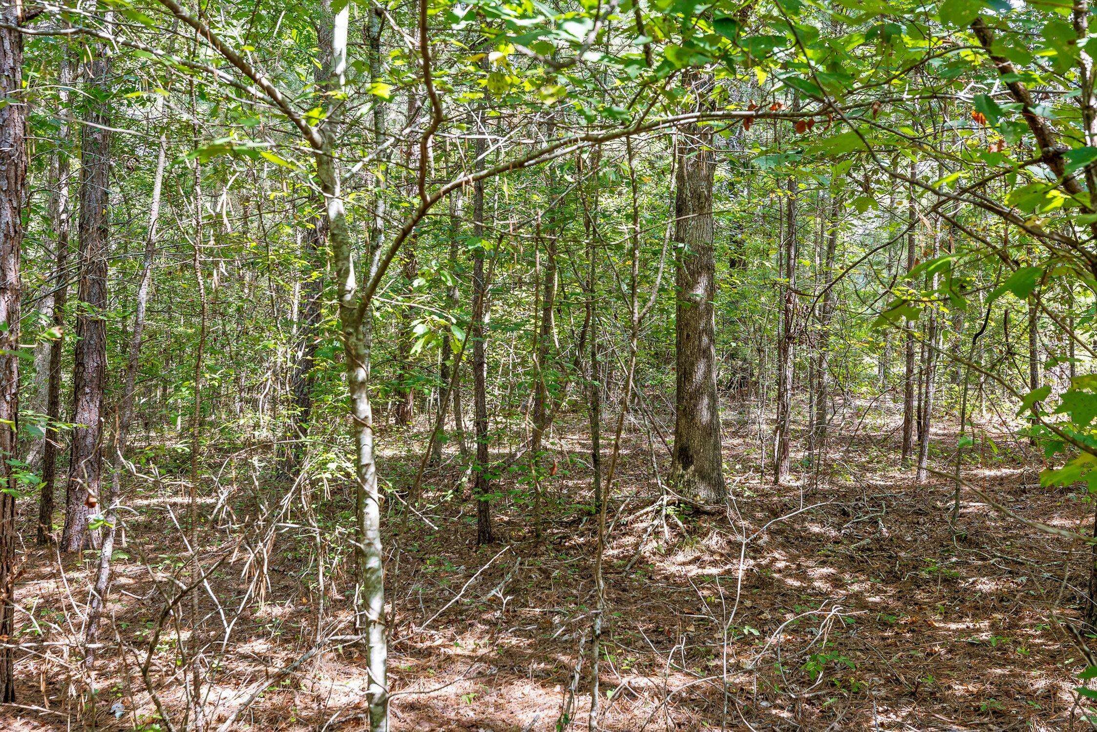 Flat Rock, AL 35966,830 County Road 814