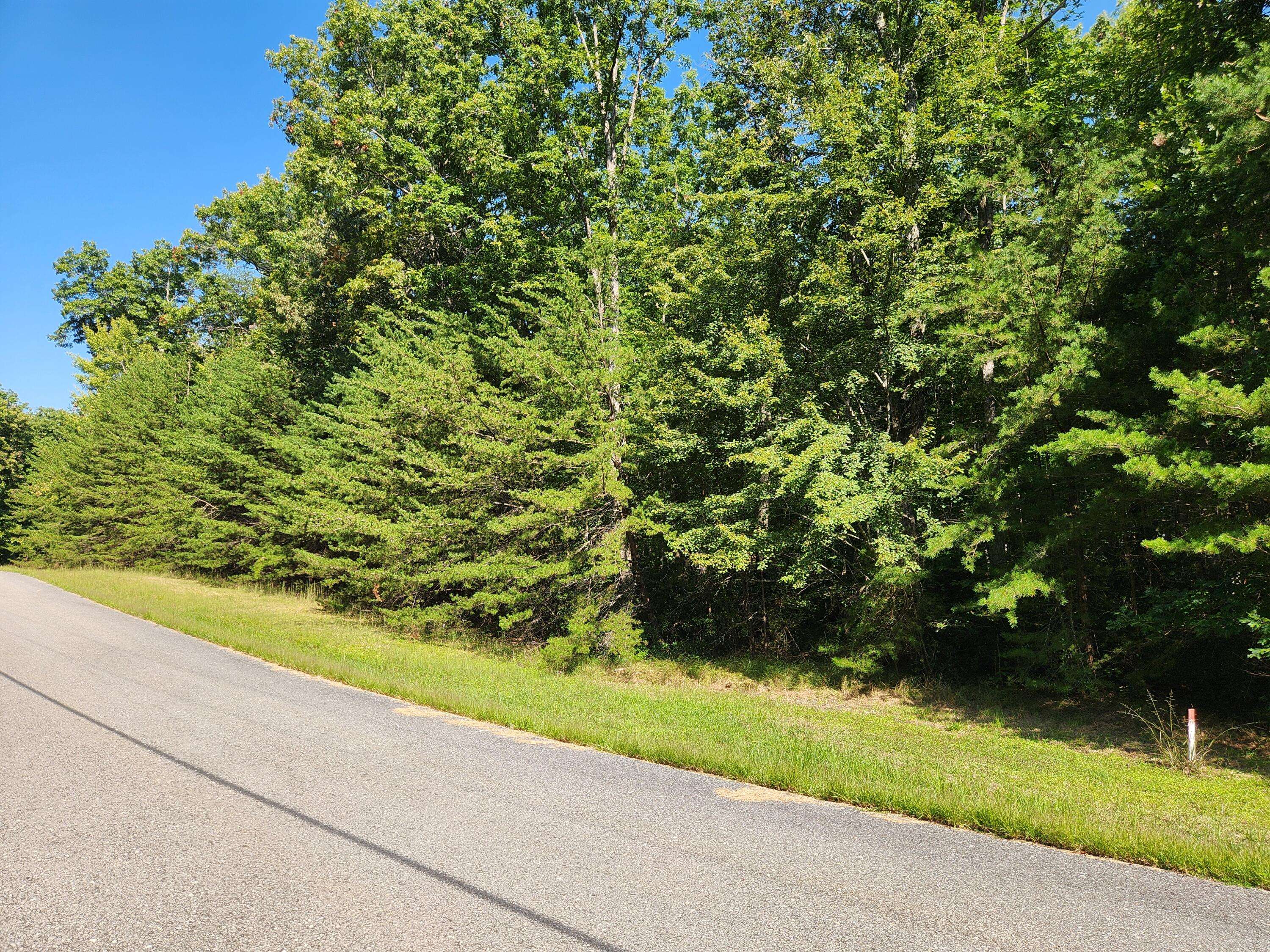 Spencer, TN 38585,0 Ridge View LN