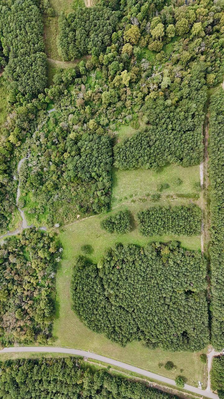 Old Fort, TN 37362,00 Bucks Pocket Rd South RD