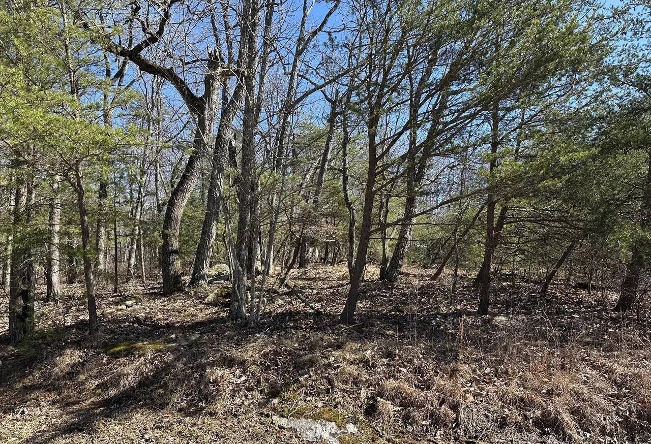 Crossville, TN 38558,184 Trentwood DR