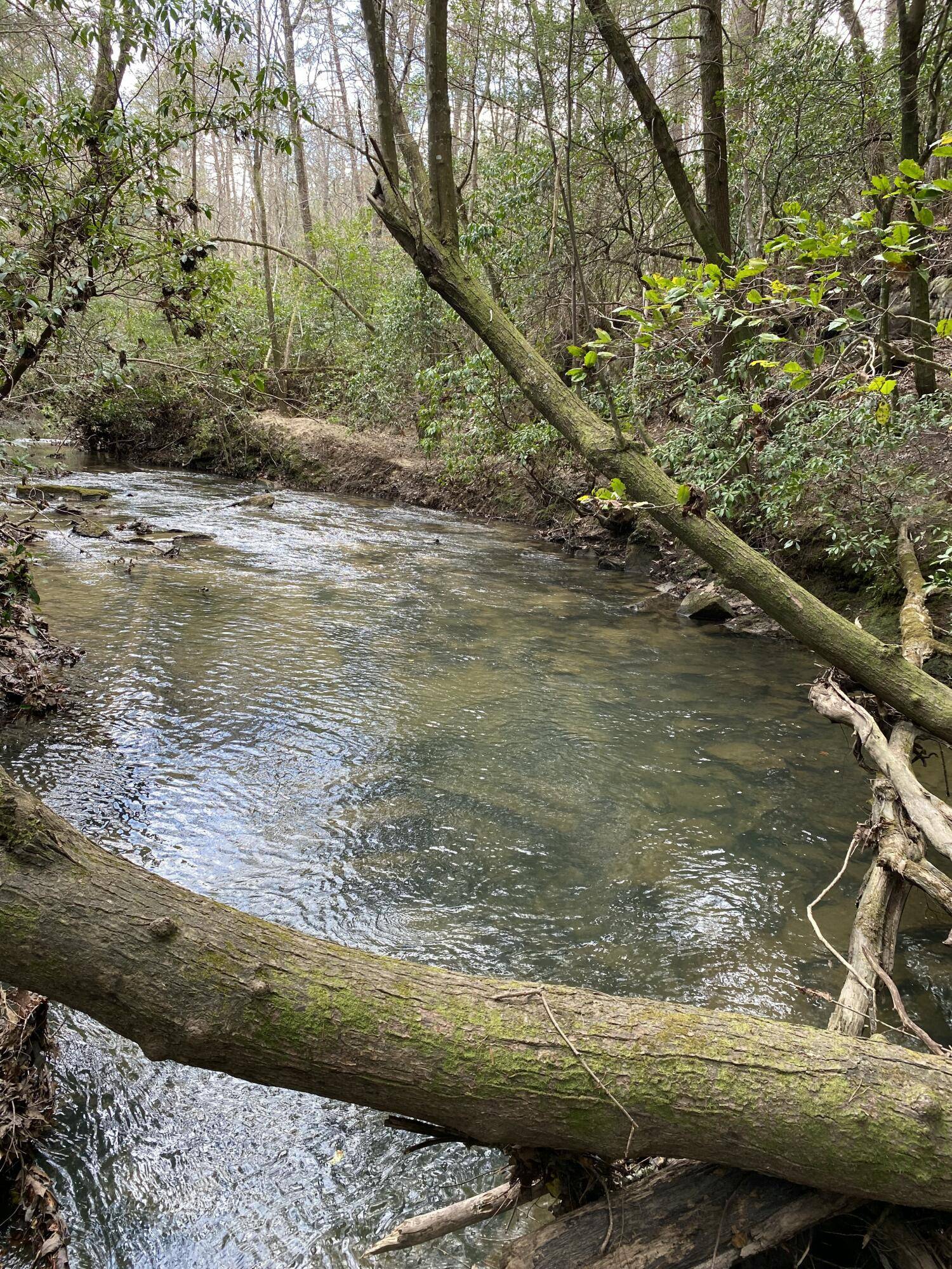 Spencer, TN 38585,0 Lone Wolf TRL