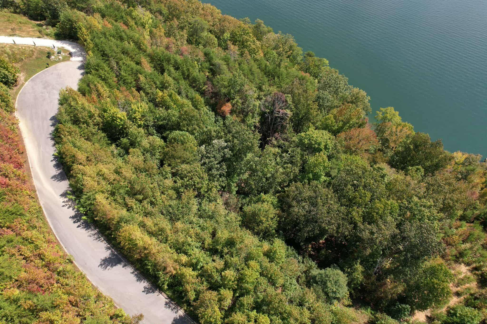 Spring City, TN 37381,Lot 39 Waterside WAY