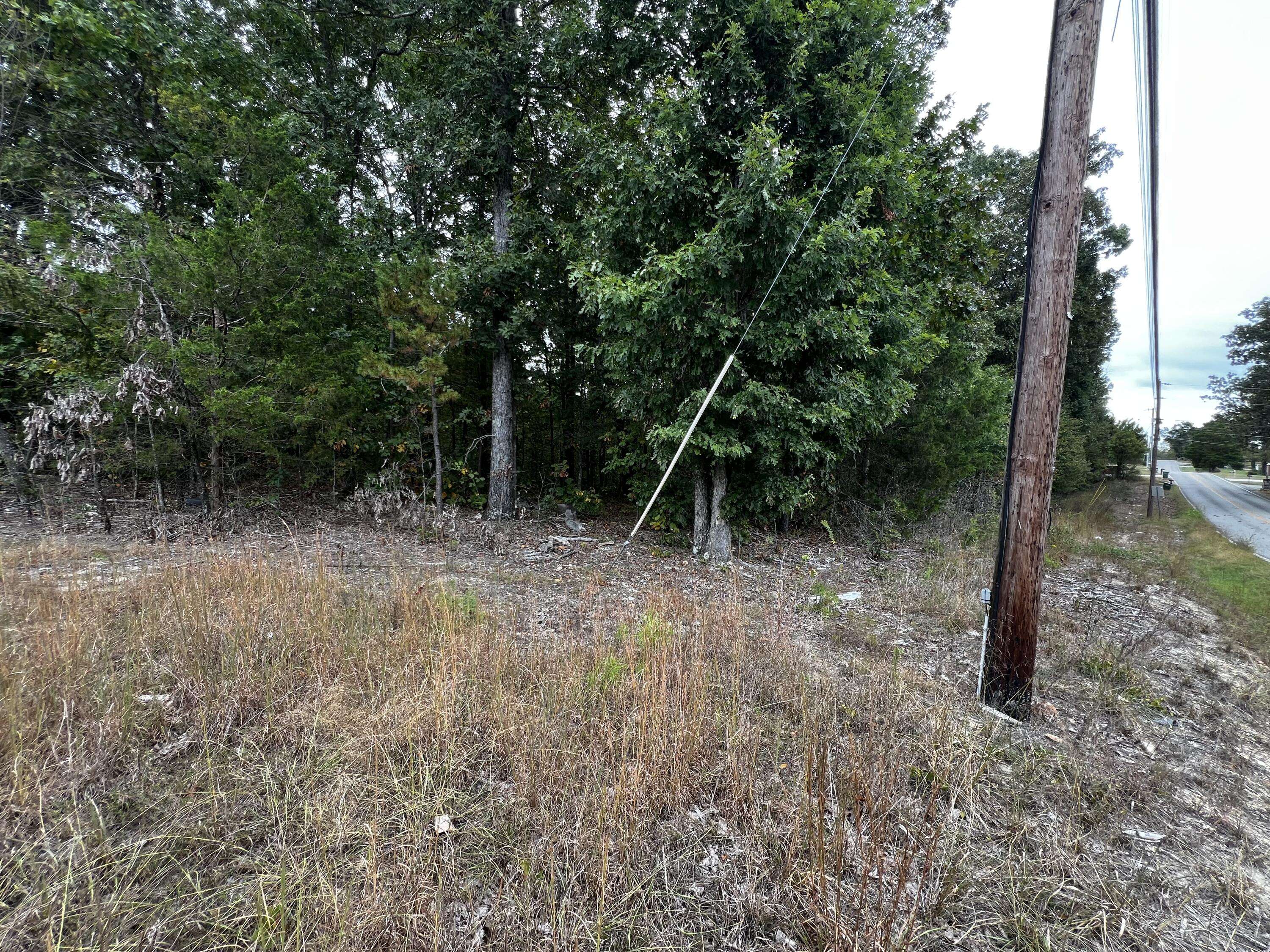 Ooltewah, TN 37363,0 Bork Memorial DR