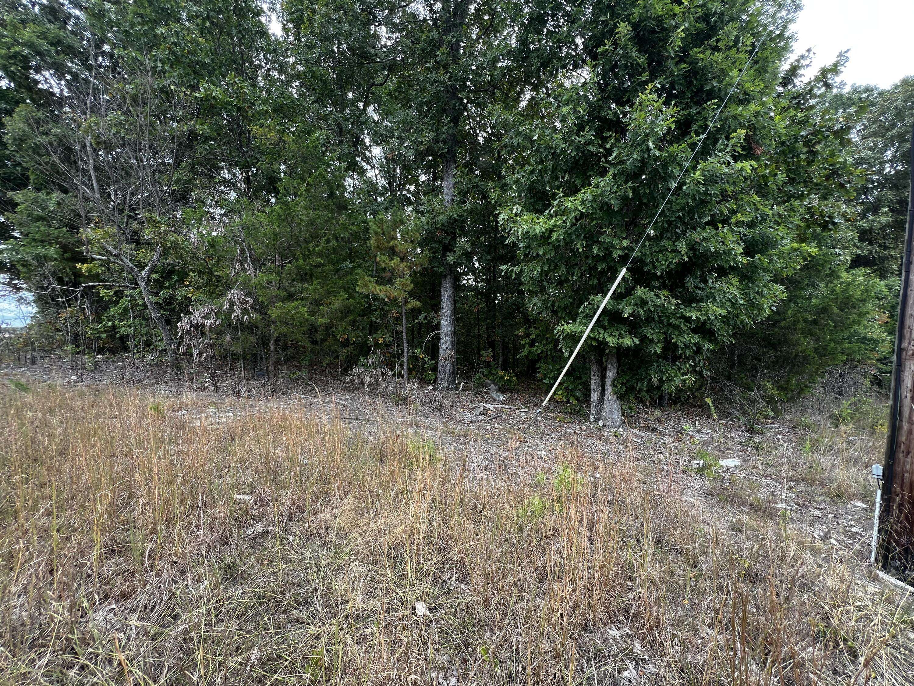 Ooltewah, TN 37363,0 Bork Memorial DR