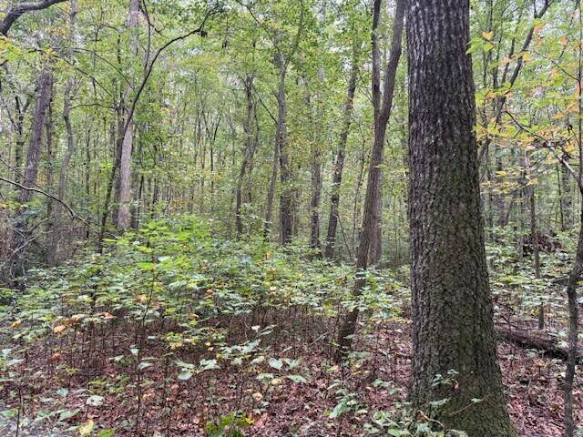 Tracy City, TN 37387,Lot 2 Tipple Road