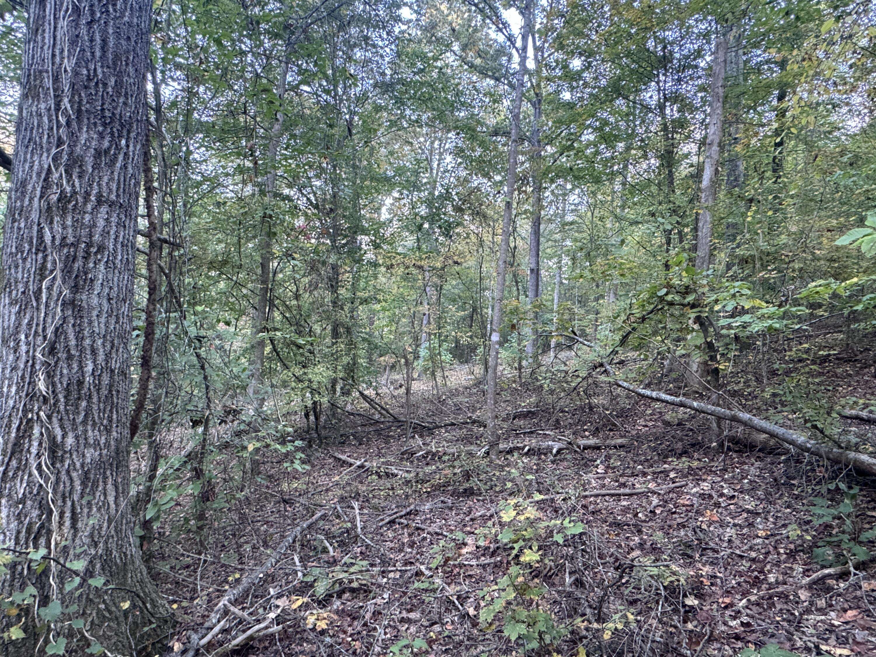 Decatur, TN 37322,00 Geren Subdivision LN