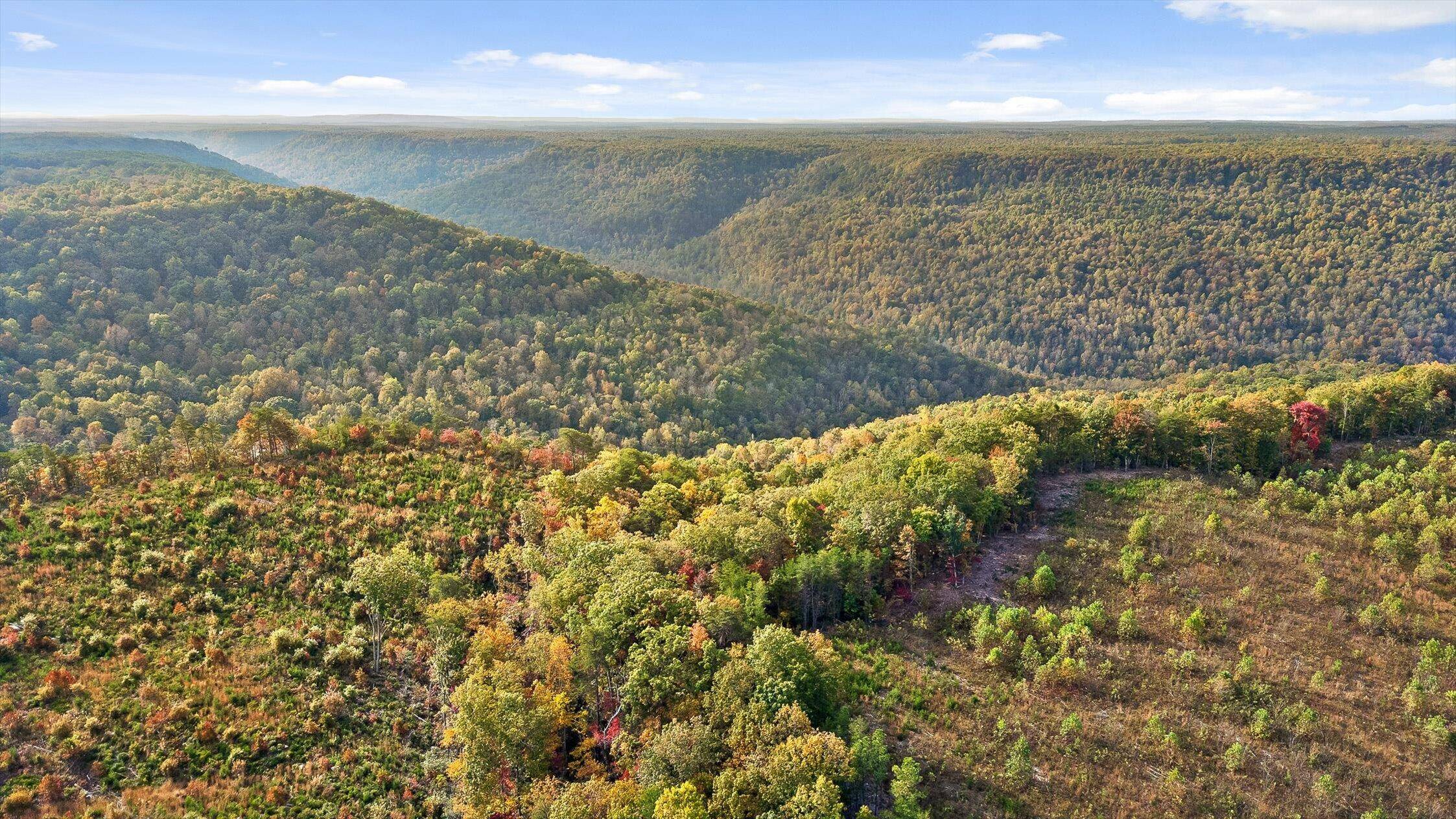 Spencer, TN 38585,0 Roberts RD