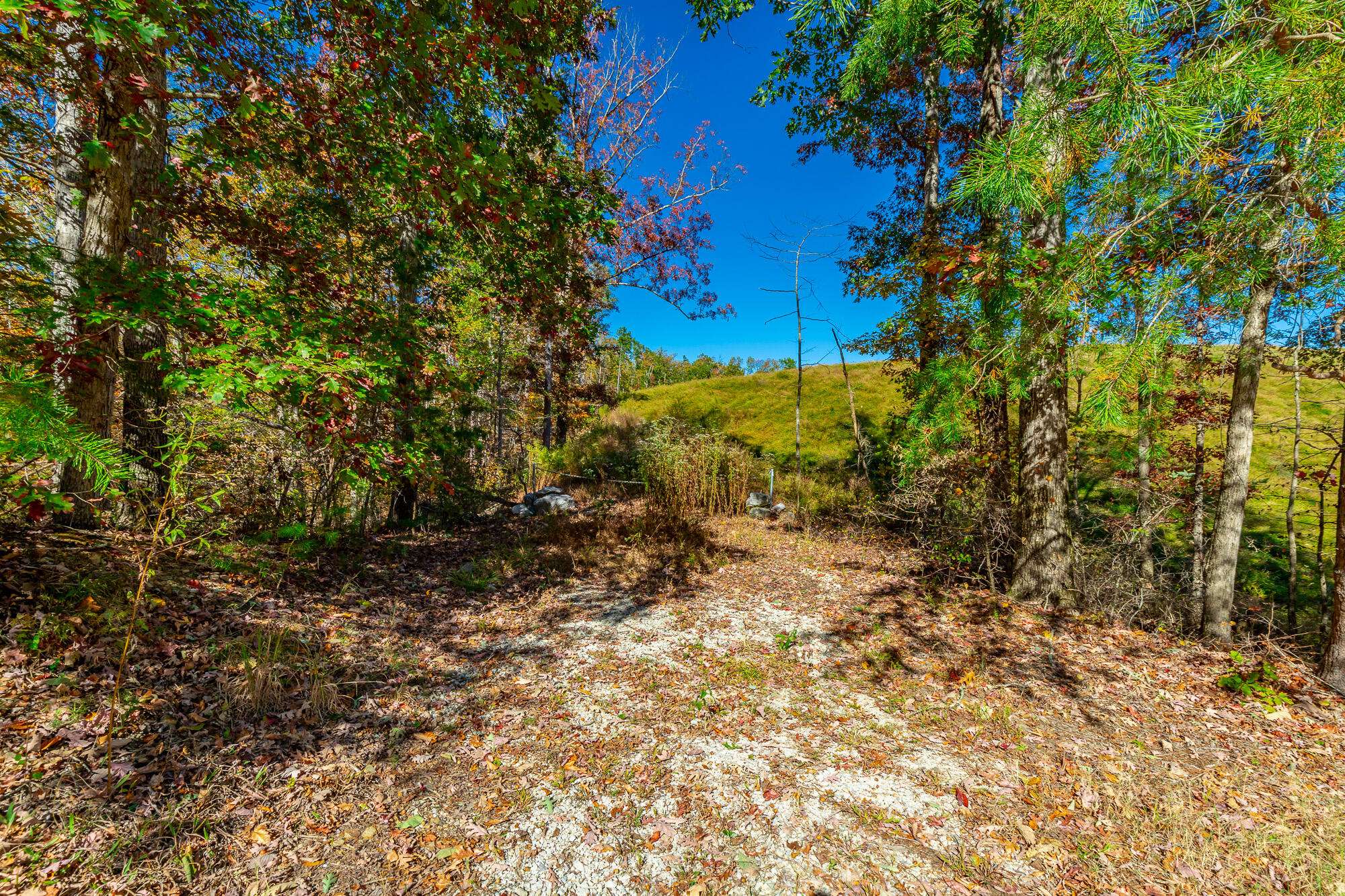 Ooltewah, TN 37363,9745 Timberview TRL