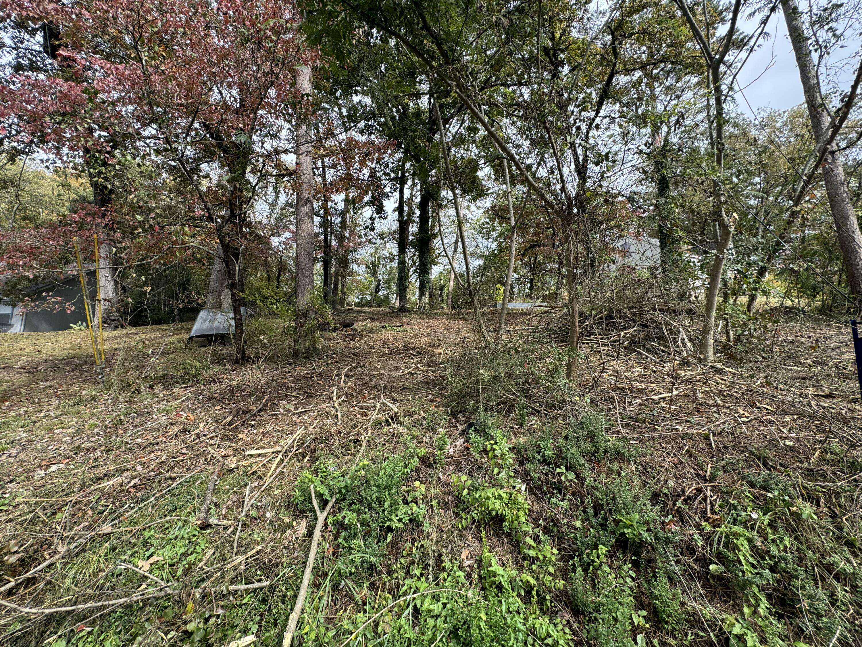 Chattanooga, TN 37415,217 & 221 Ridgewood AVE