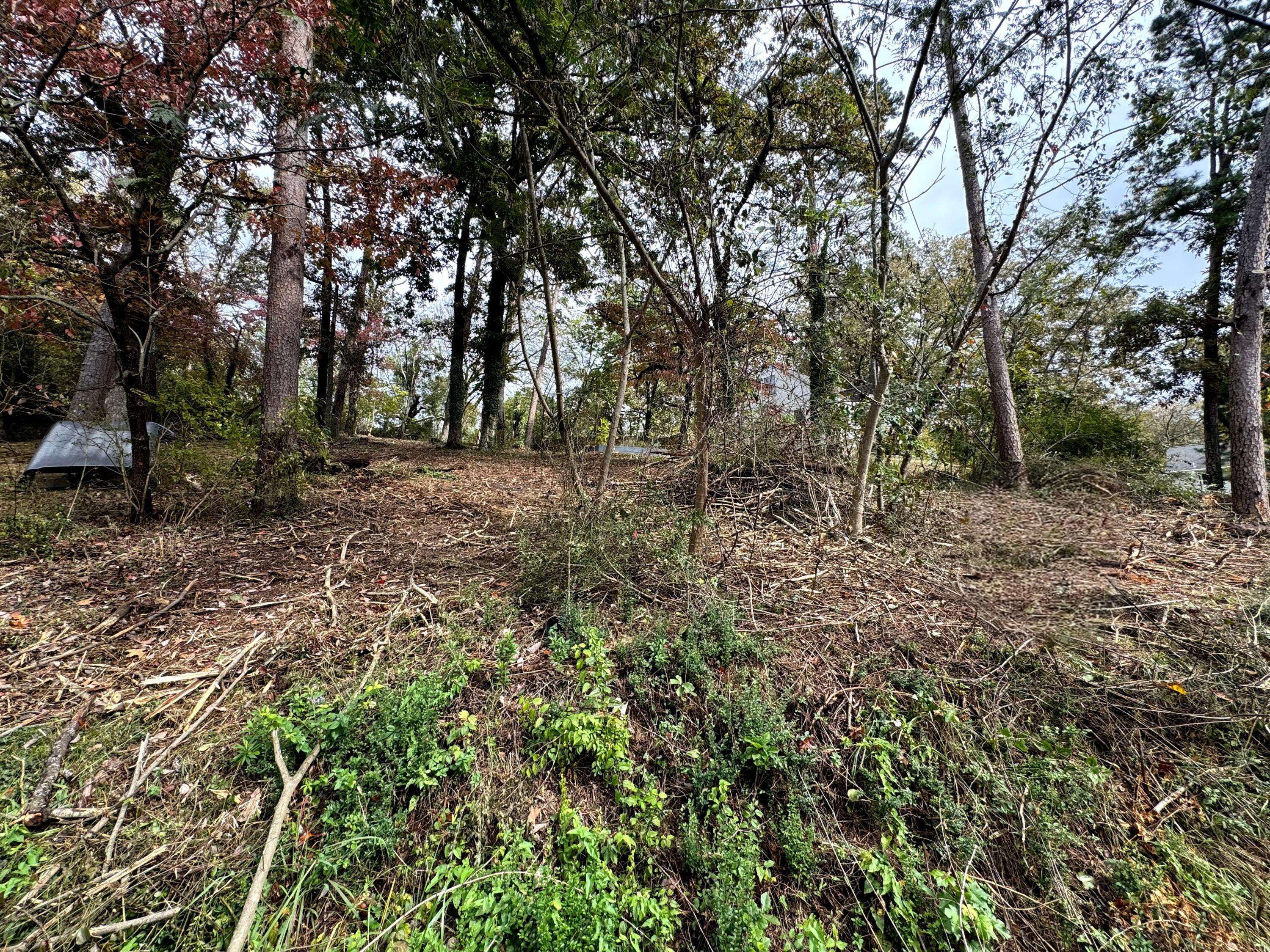 Chattanooga, TN 37415,221 Ridgewood AVE